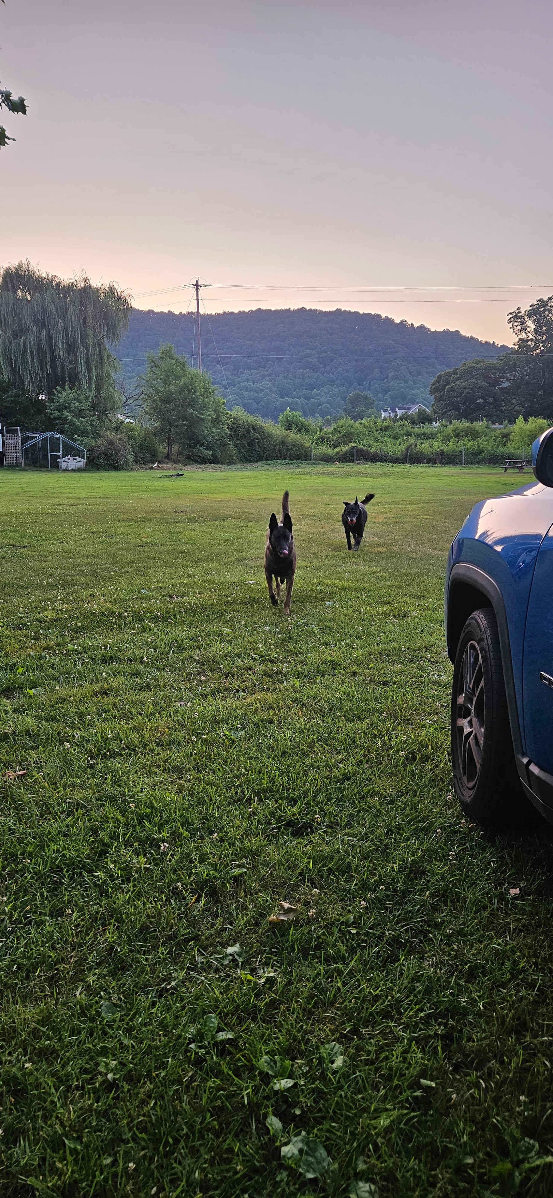 Stoney Creek Oasis Campground