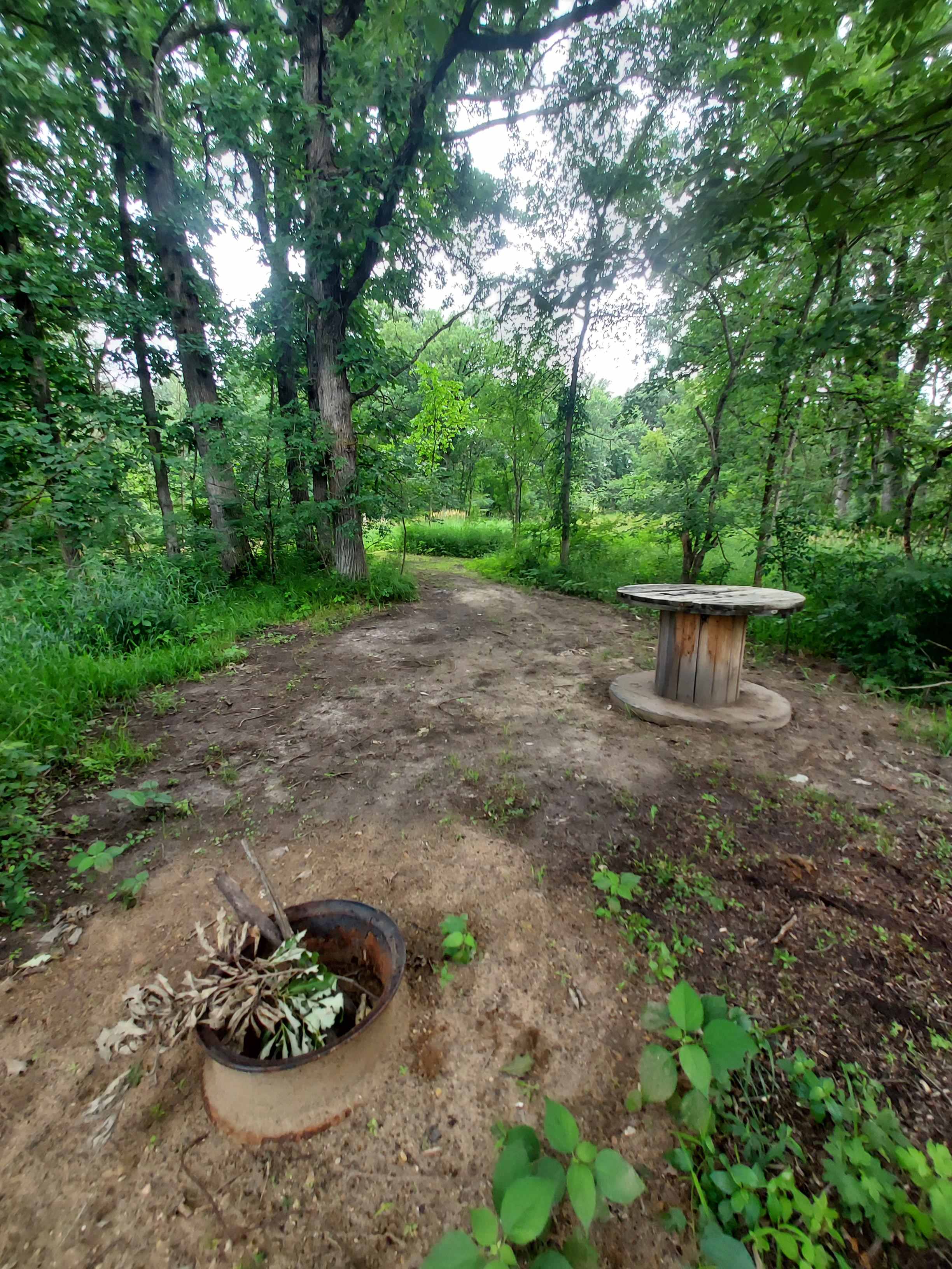 Picture of the site