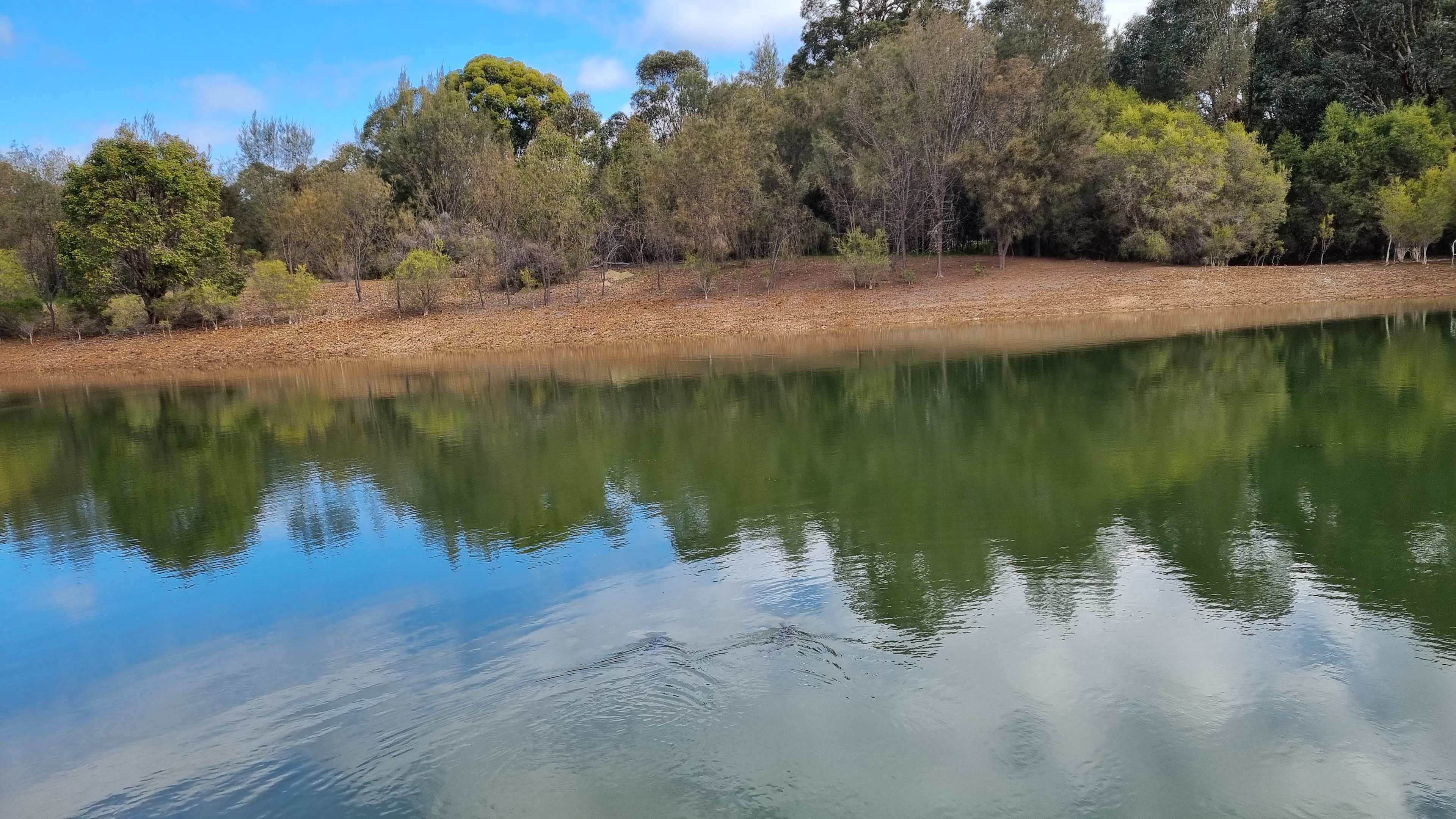 Bungarra Wines