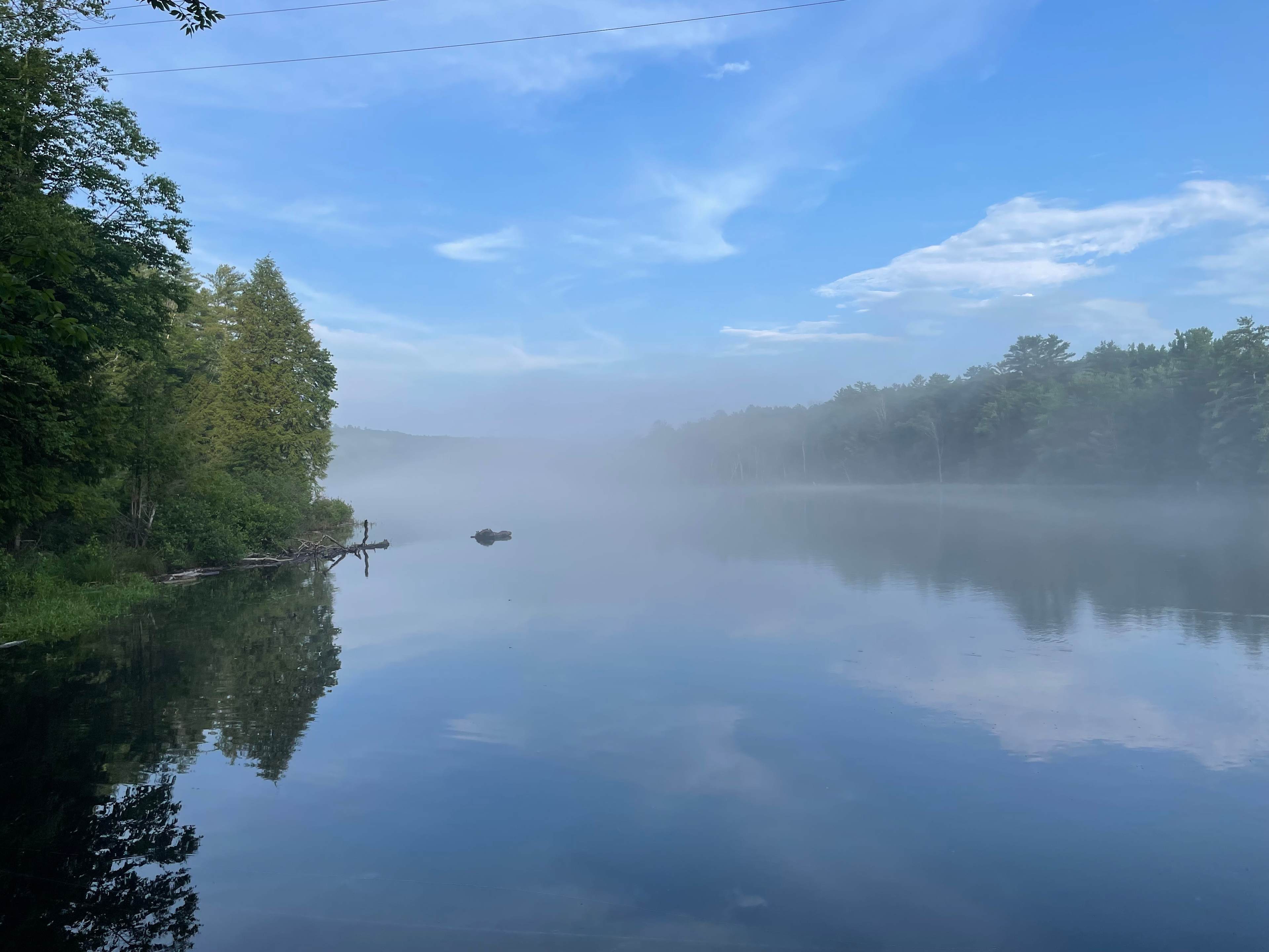 Riverfront Ritz Campsite