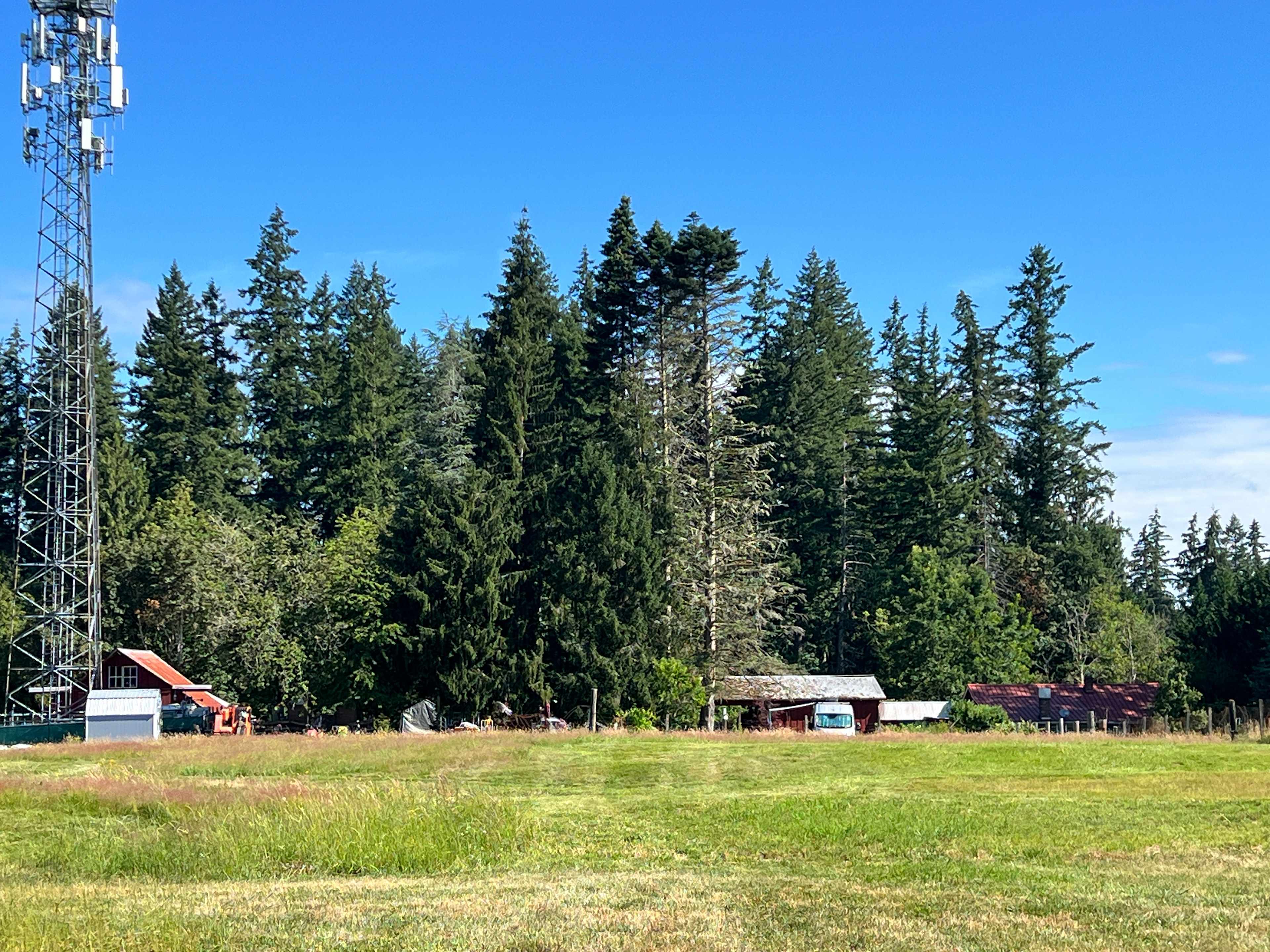 Honeysuckle Hollow
