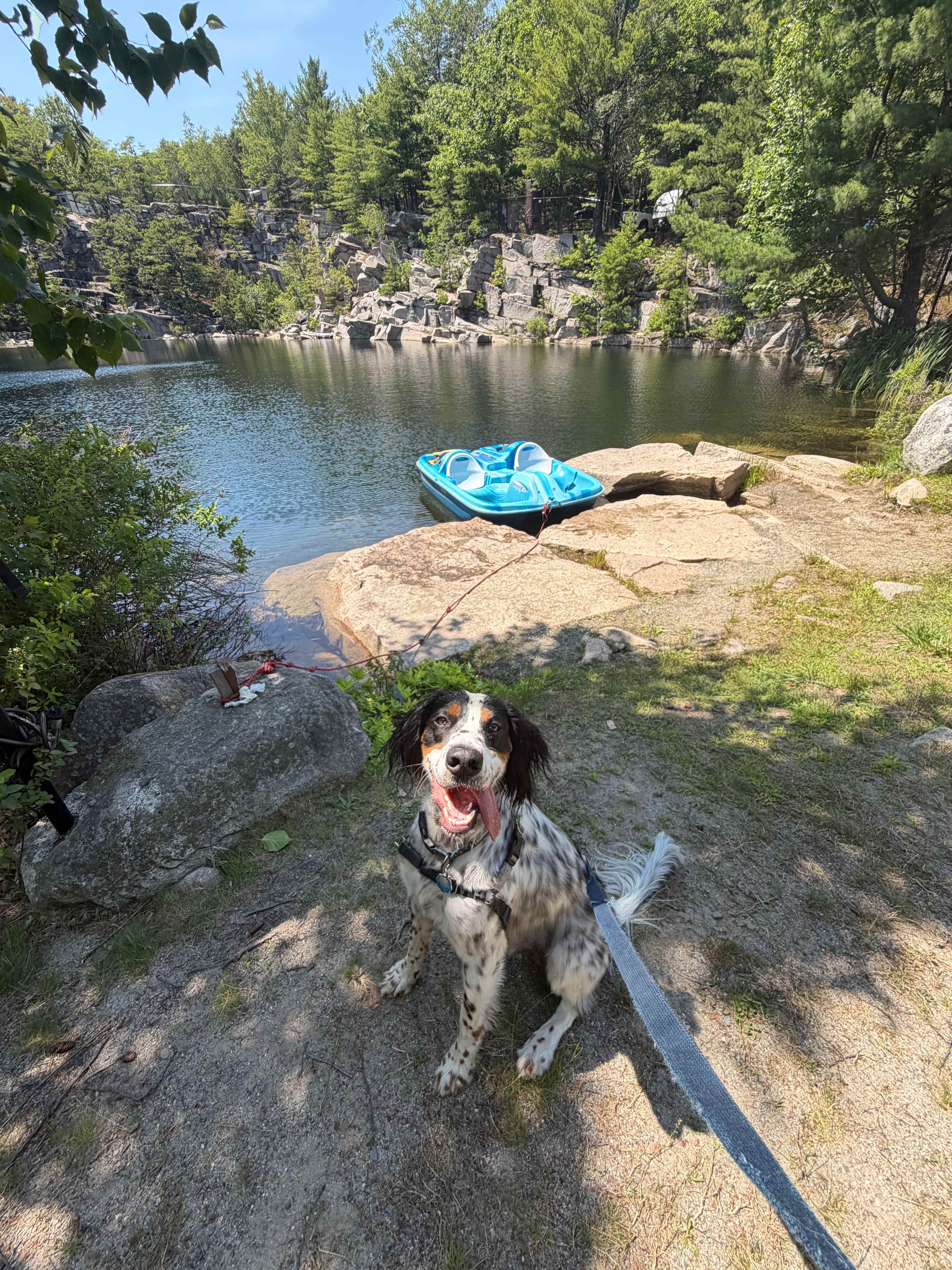 The quarry