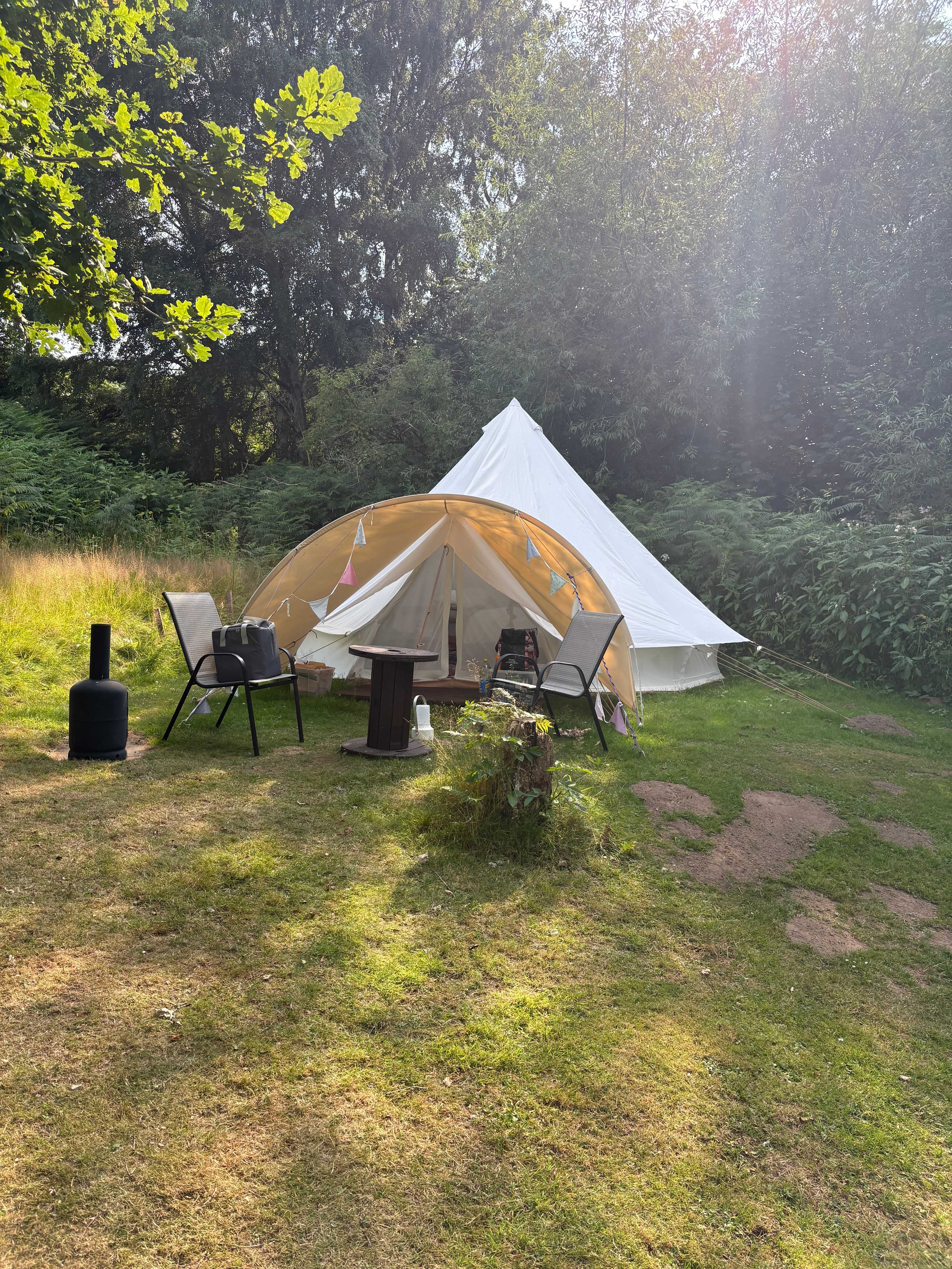 Picture of the site
