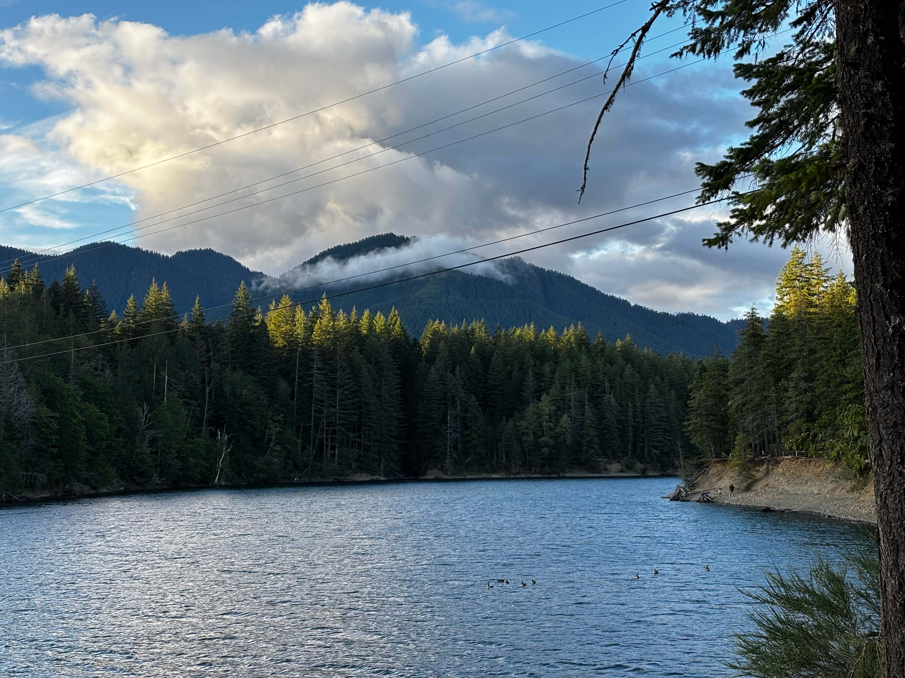 Skokomish Park At Lake Cushman