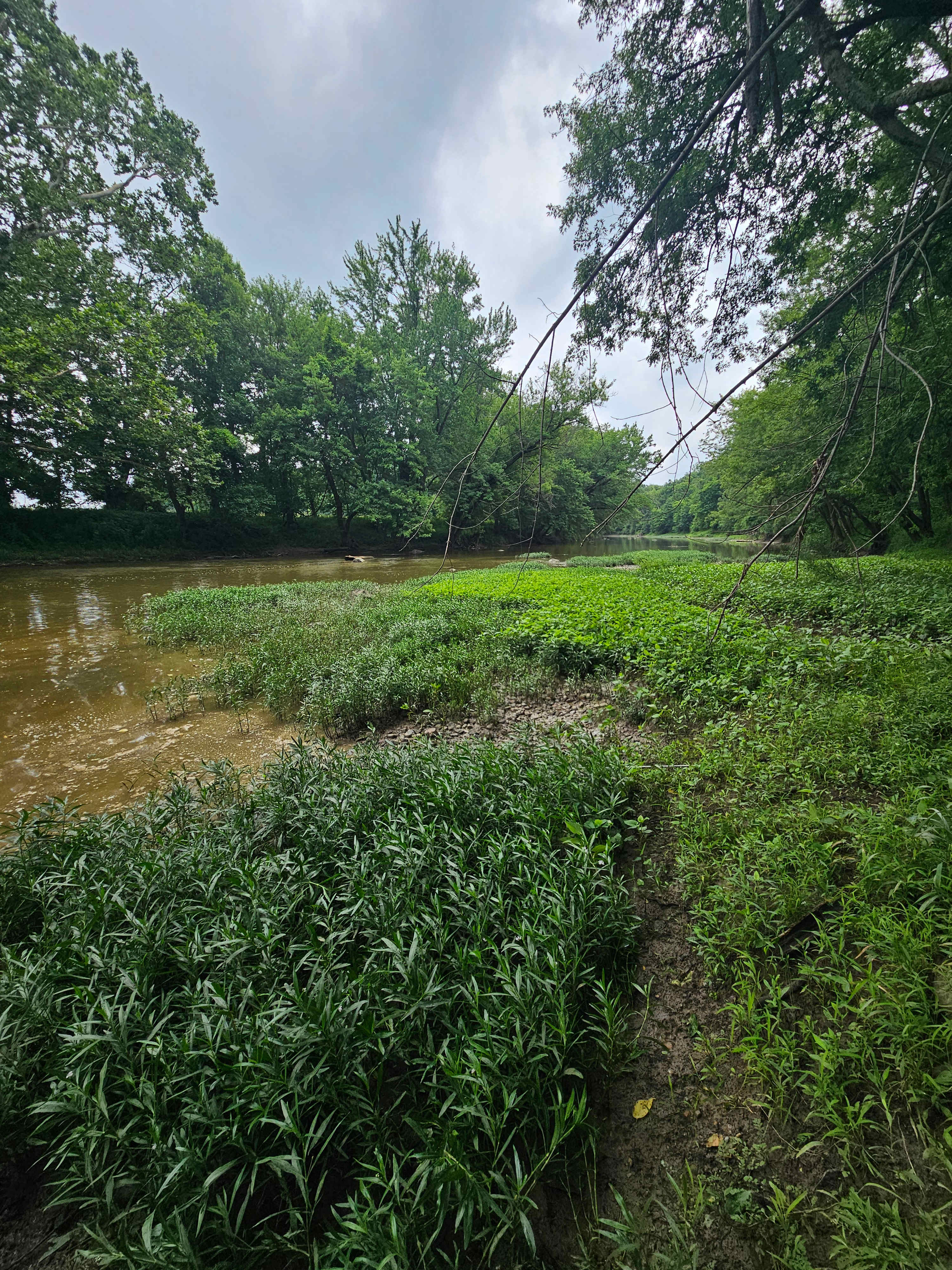 Low river