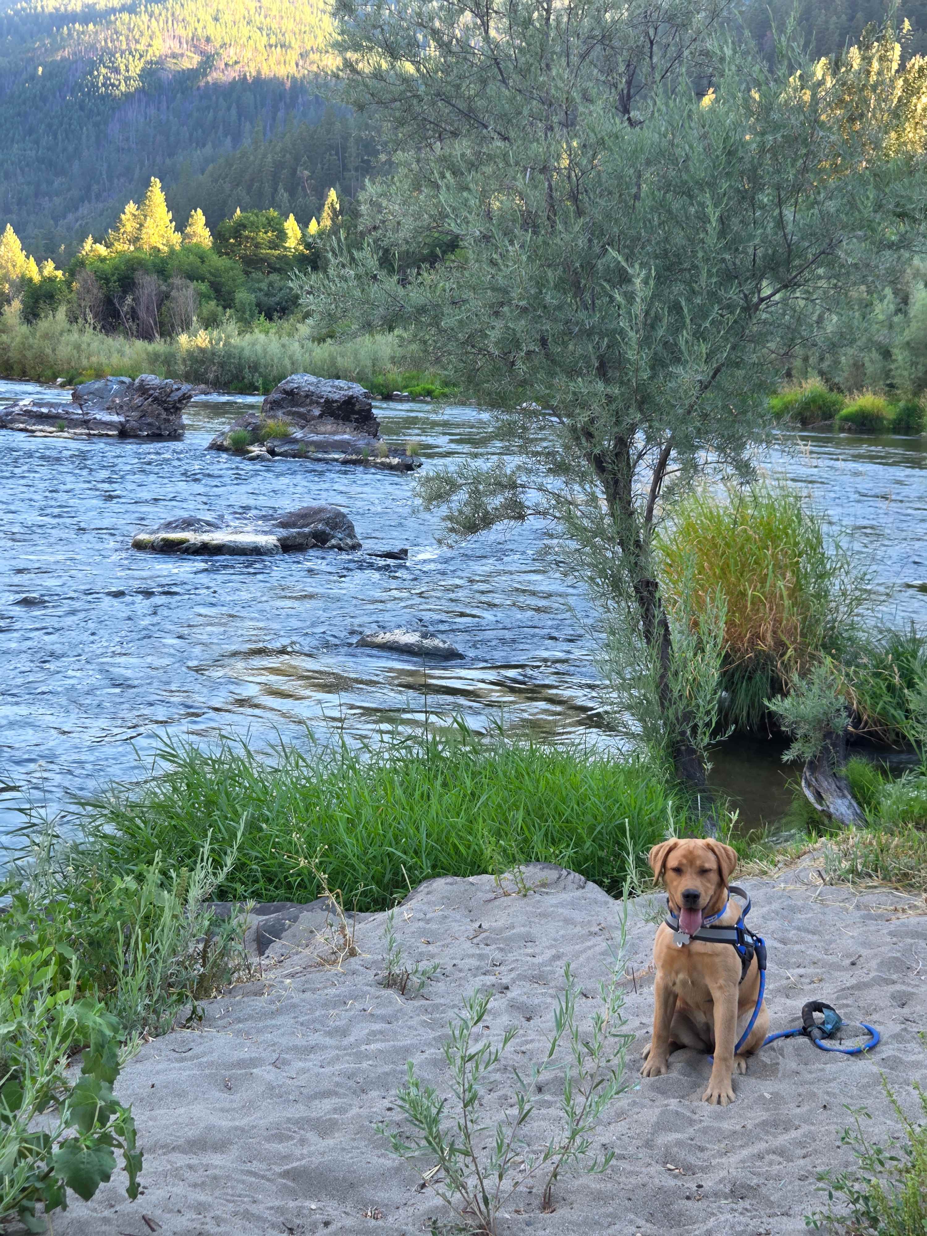Spirit Bend