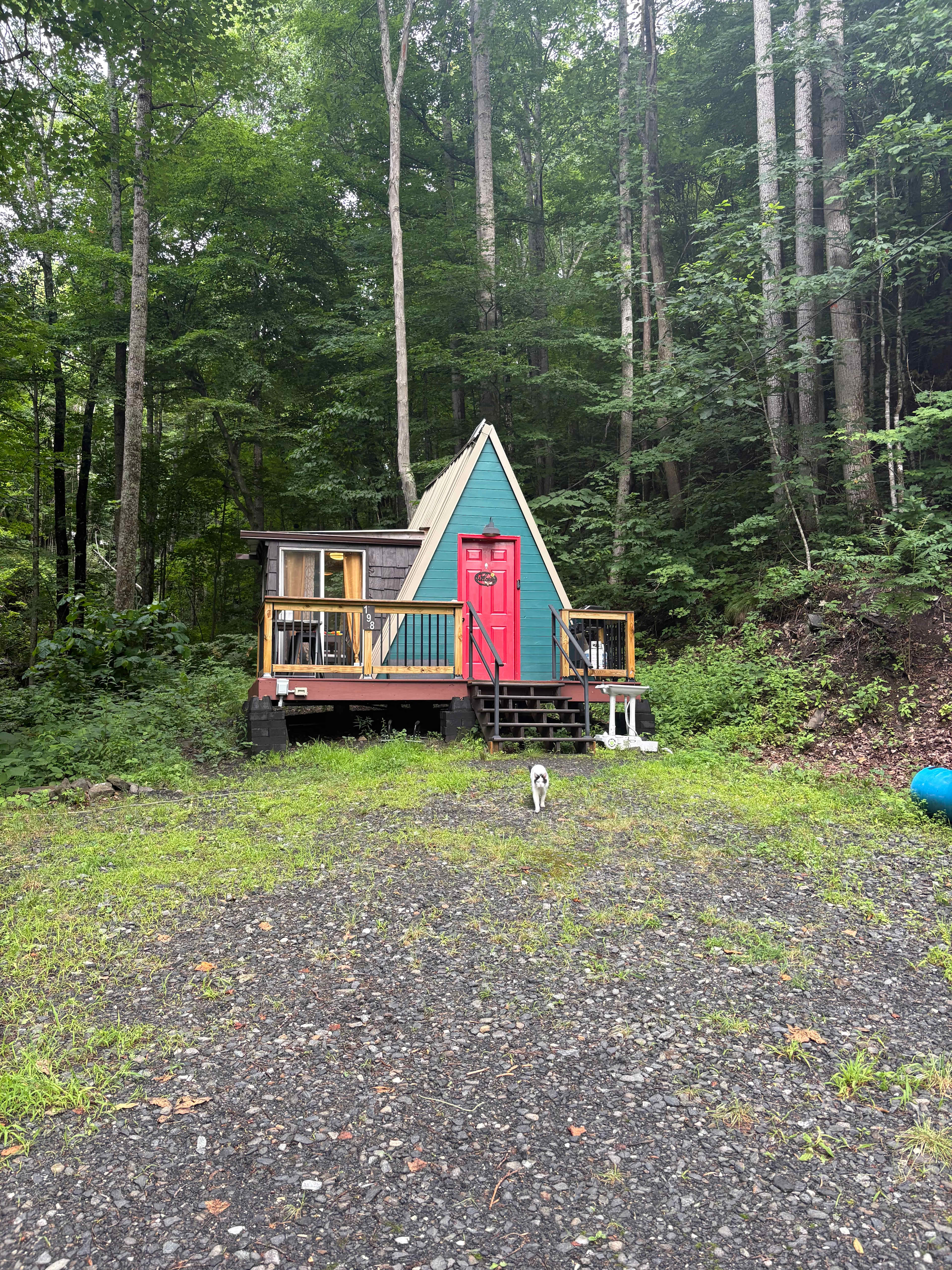 A Tiny A-Frame 15 acres creek front