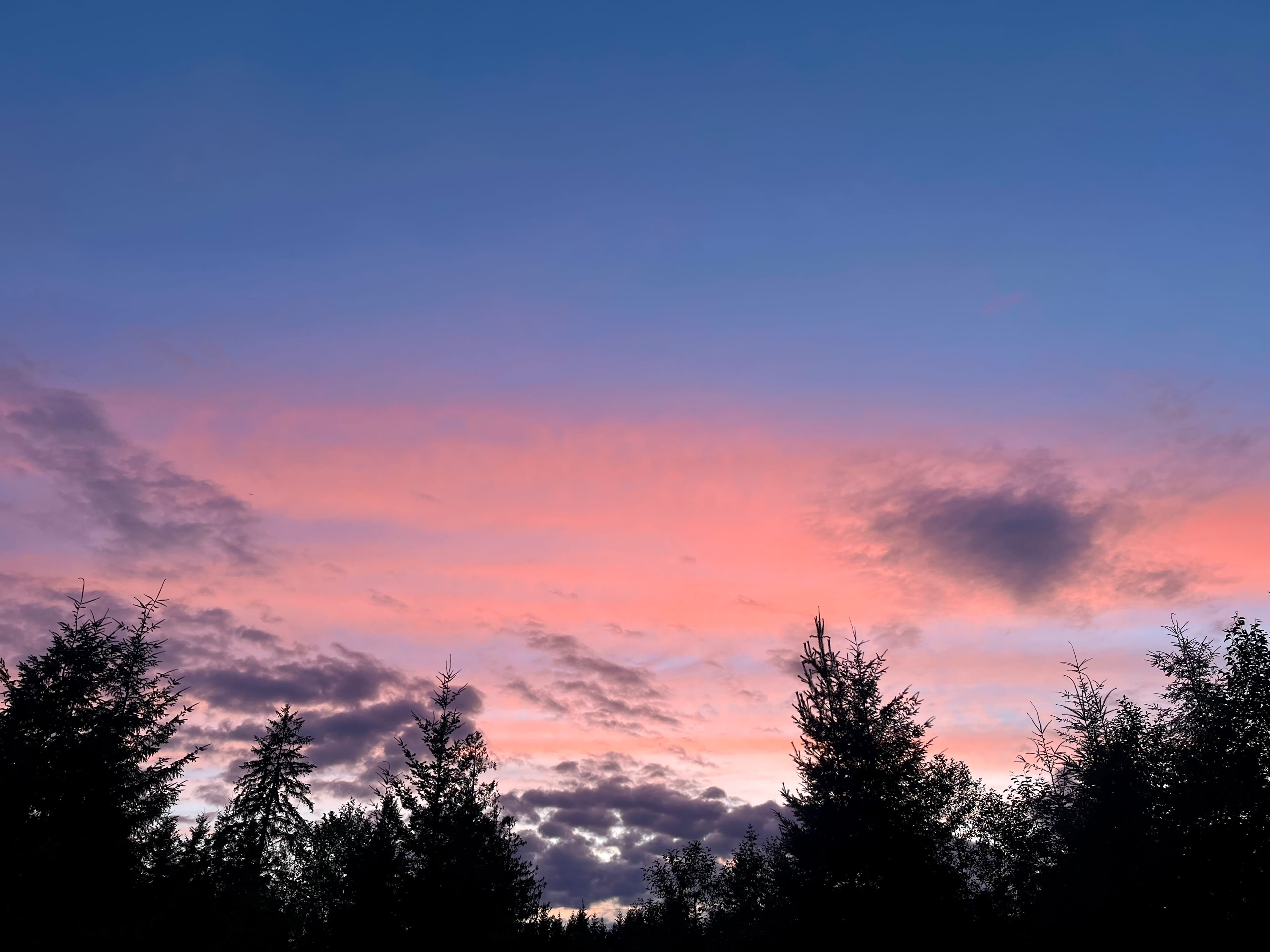 Tyee Valley Farm