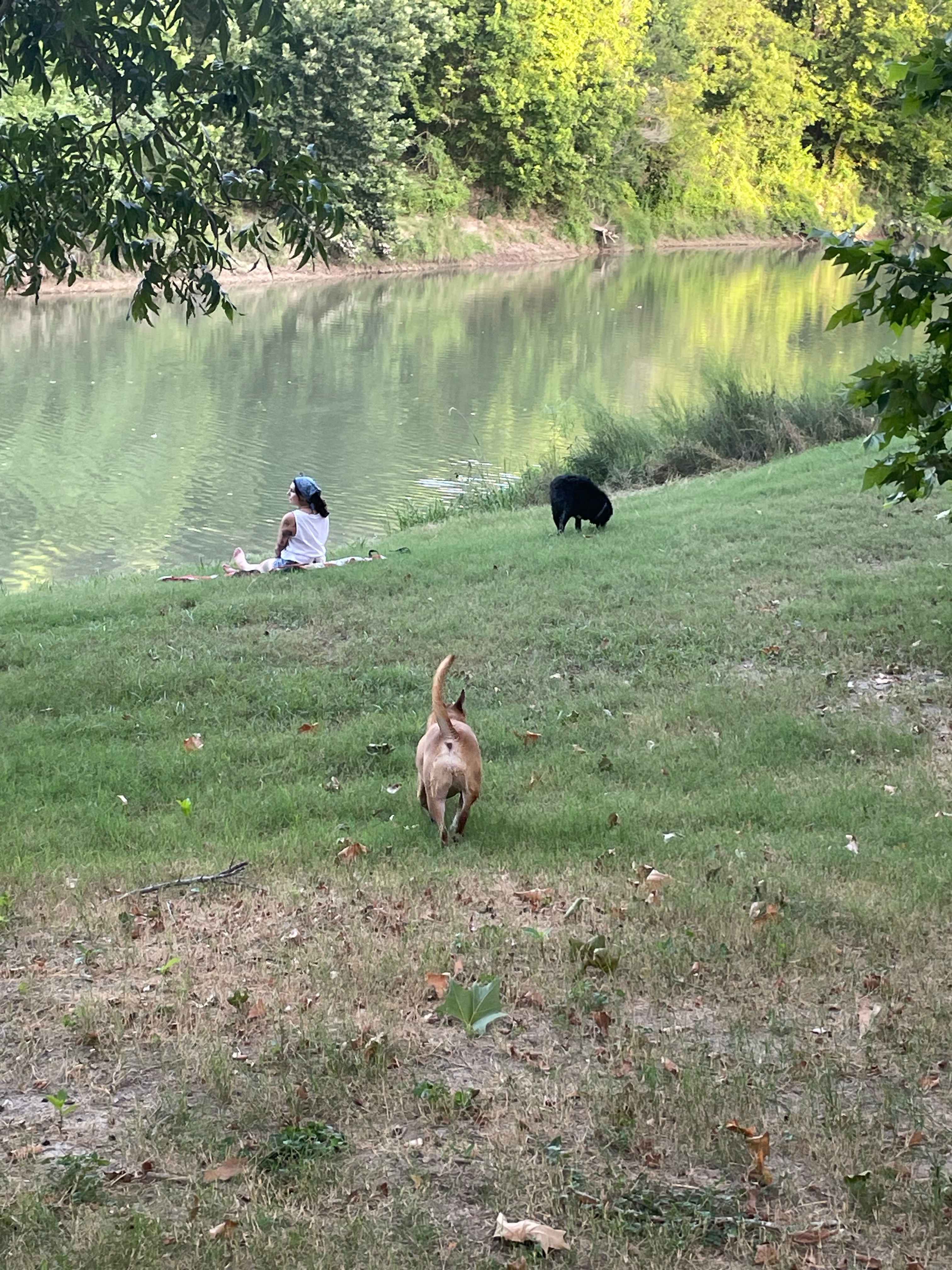 River Grove Campground