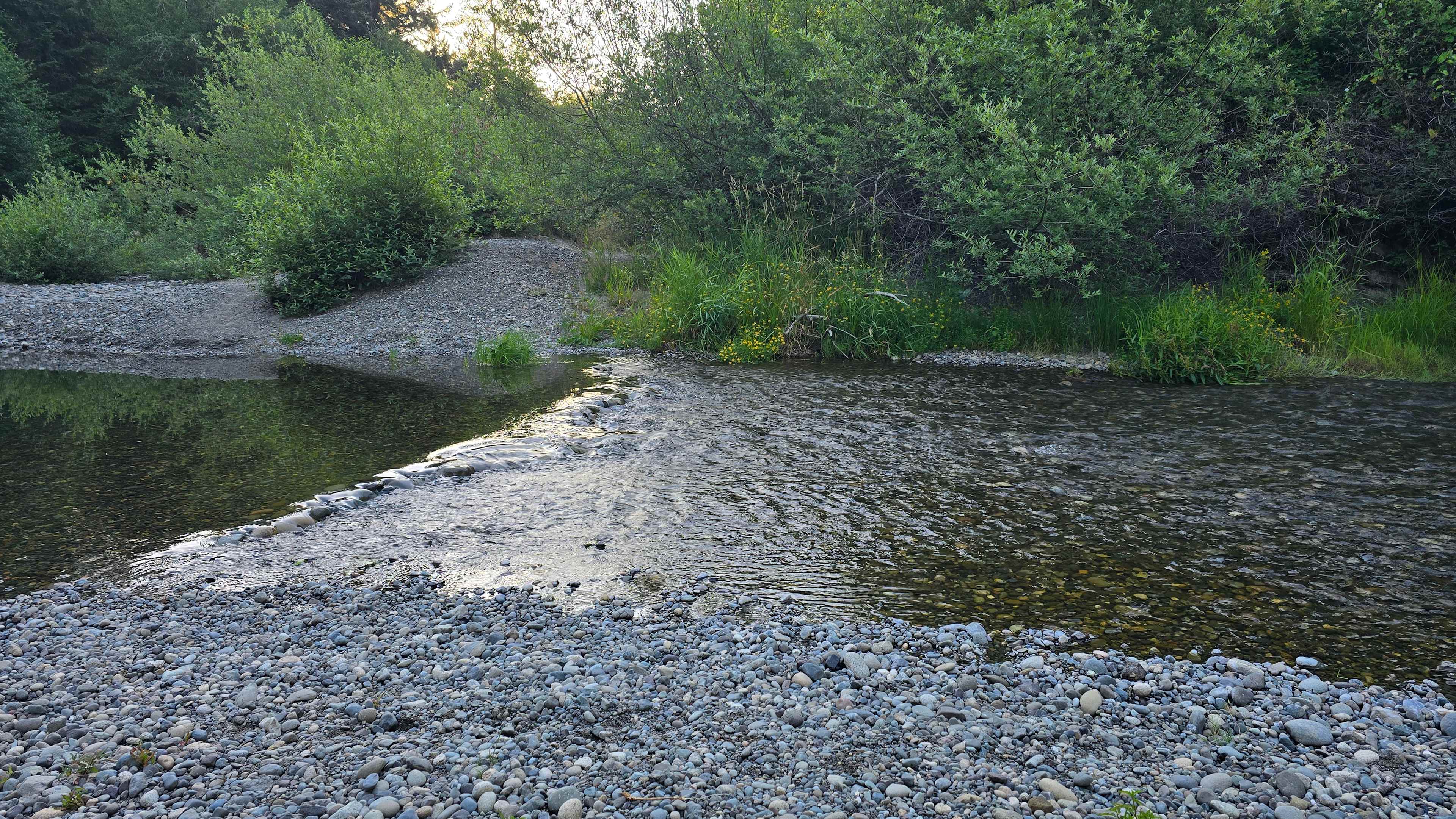 Tahuya River Lodge Campground