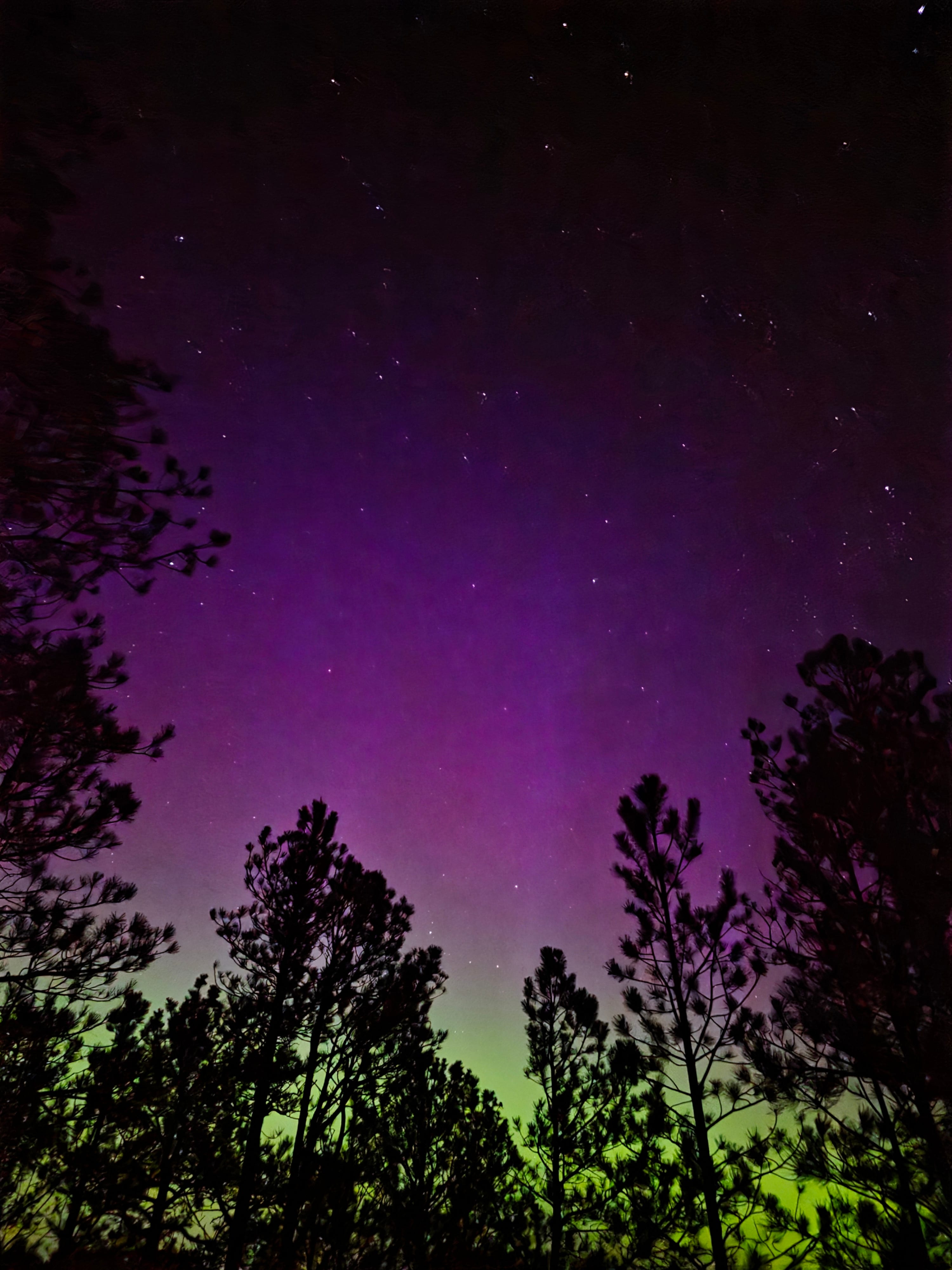 I LOVED the night sky here, and also the birdwatching in the morning! There were so many stars here. So beautiful 