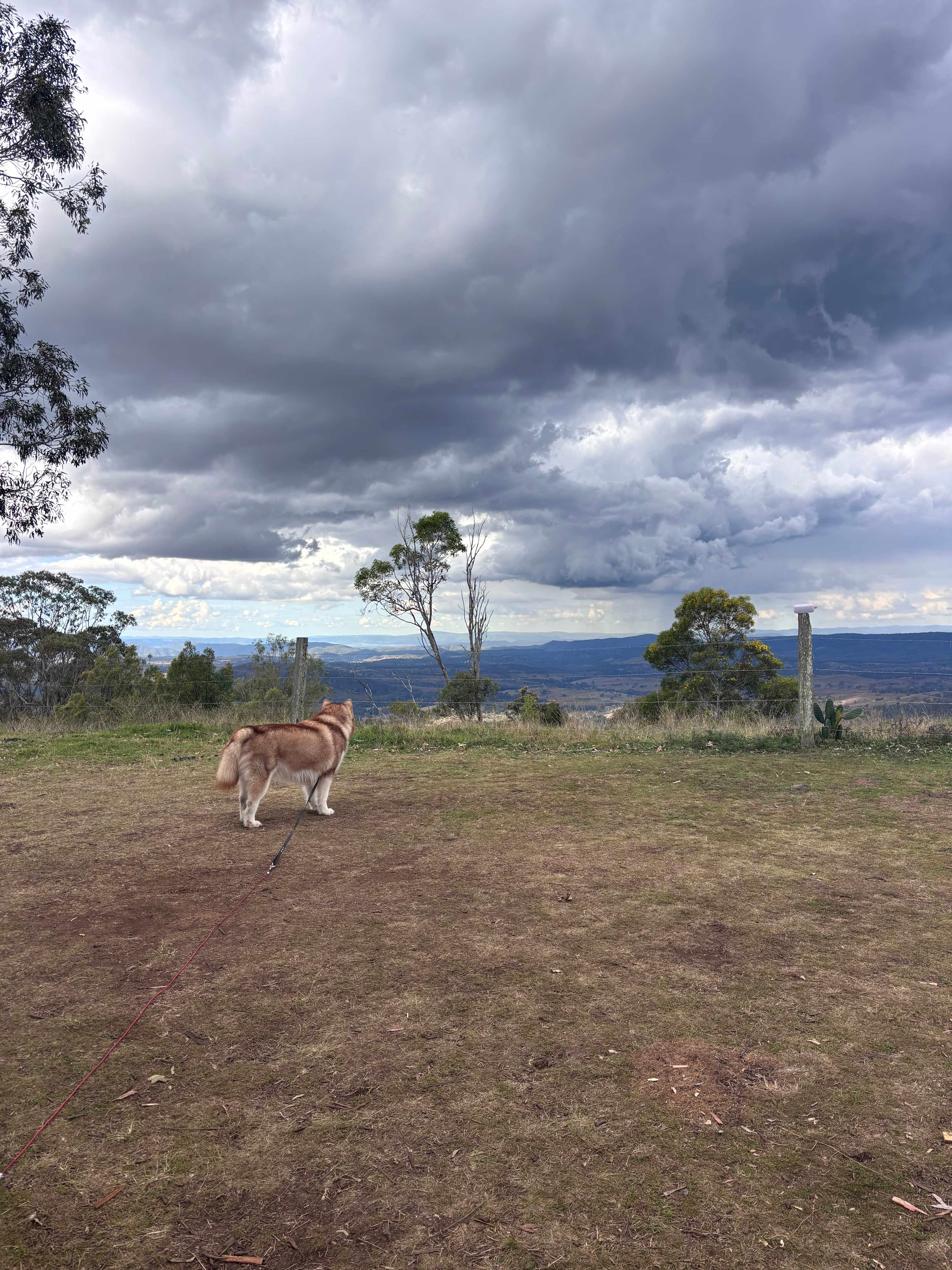 Hilltop Farm, Camping and Glamping.