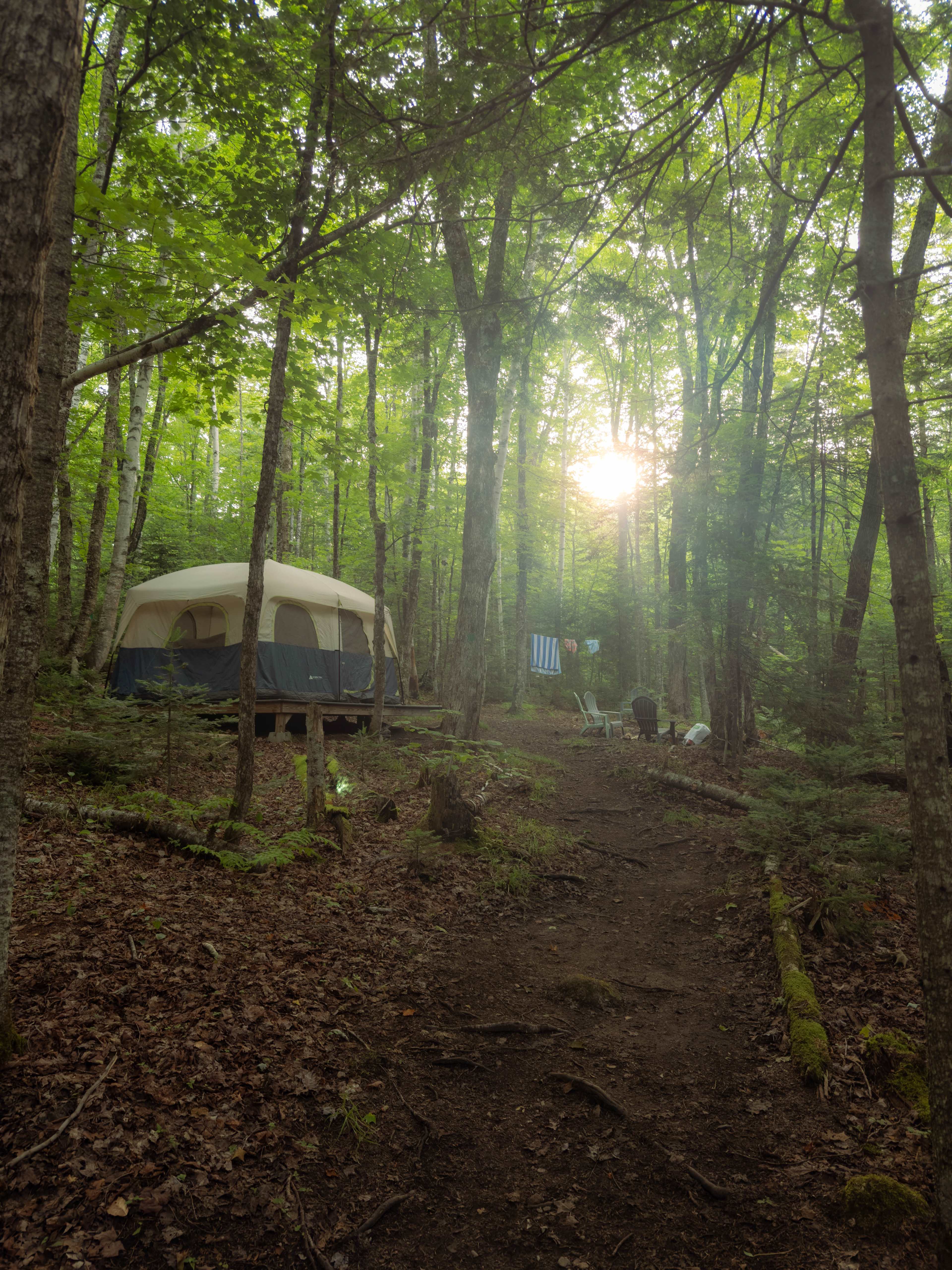 Franconia Forest - 5 Private Acres