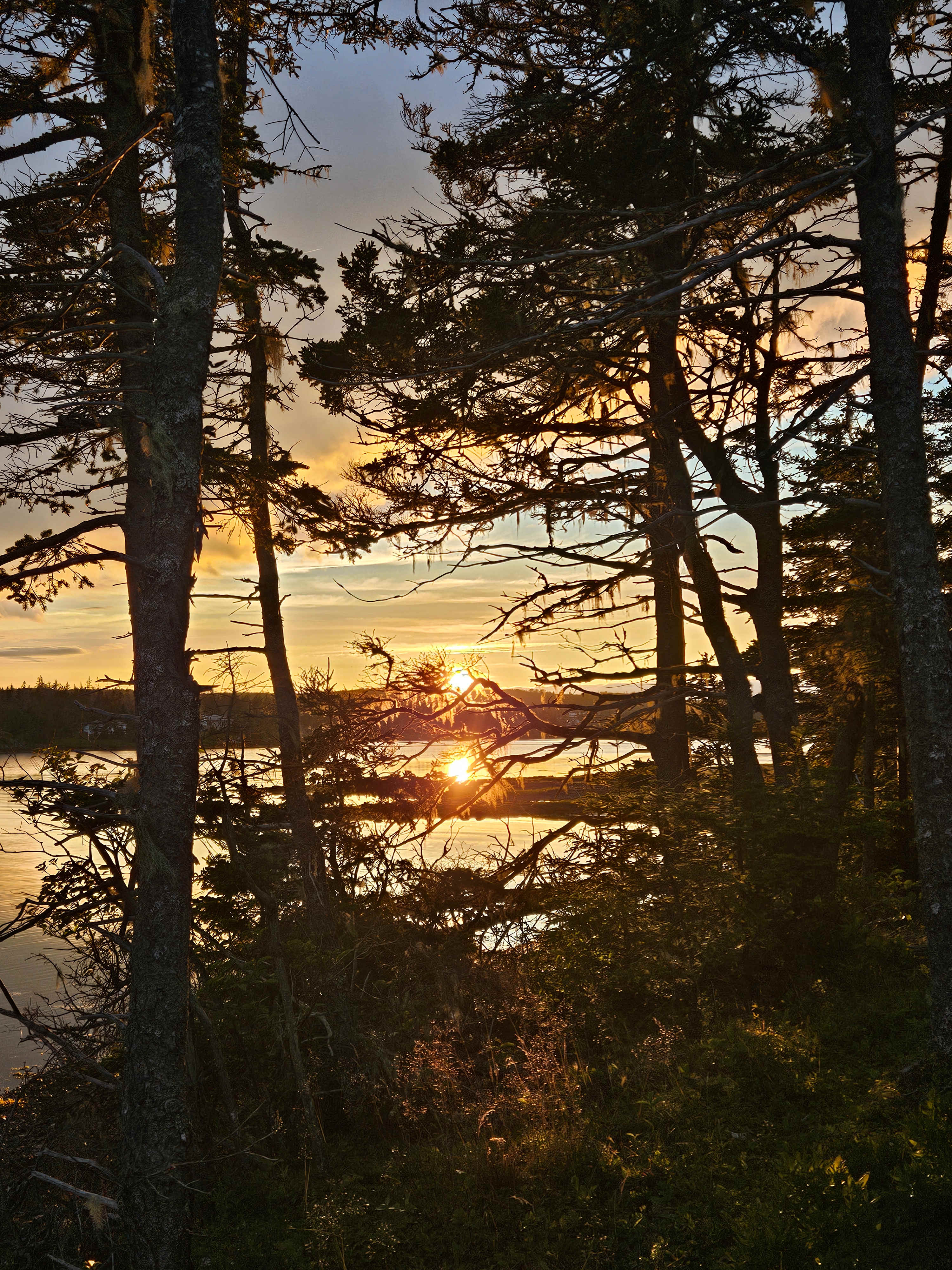 Wild Islands Camping by the Sea
