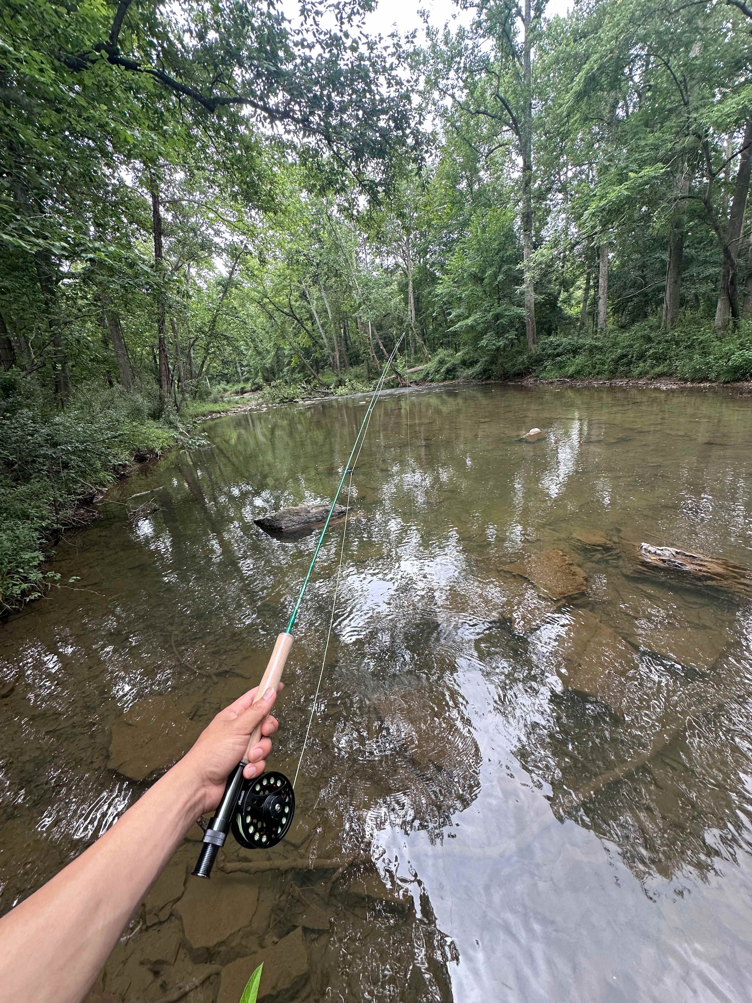 Camp Cedar Creek