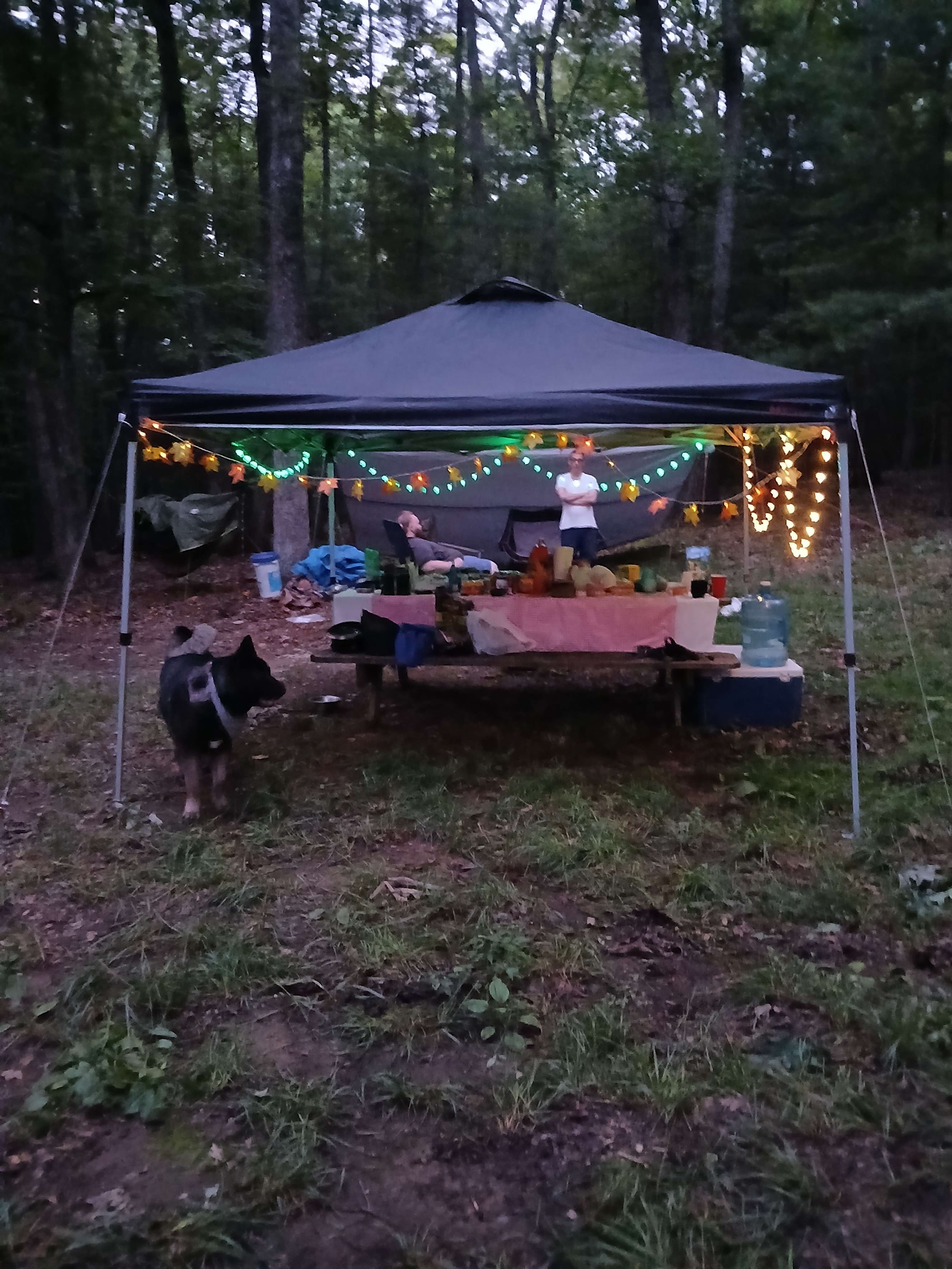 Fairie Tale Farm