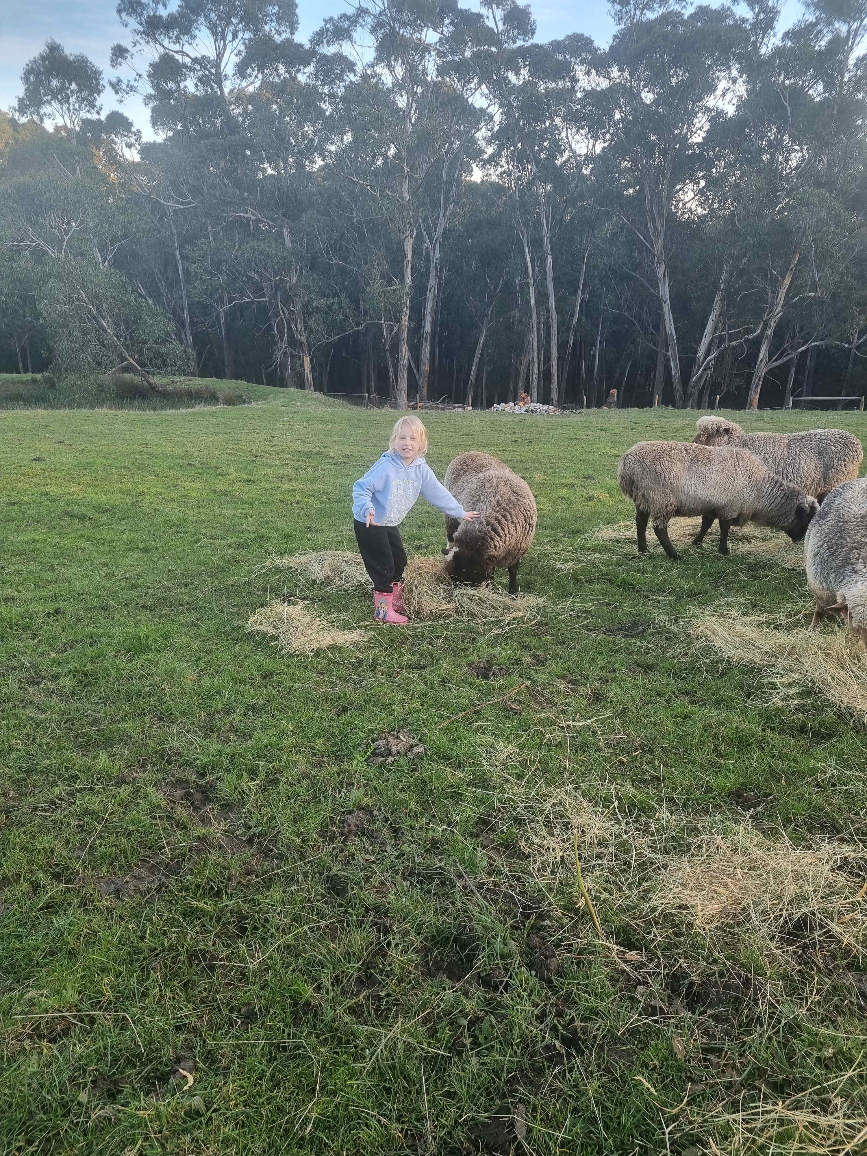 Millers Farm "The Hills are alive"