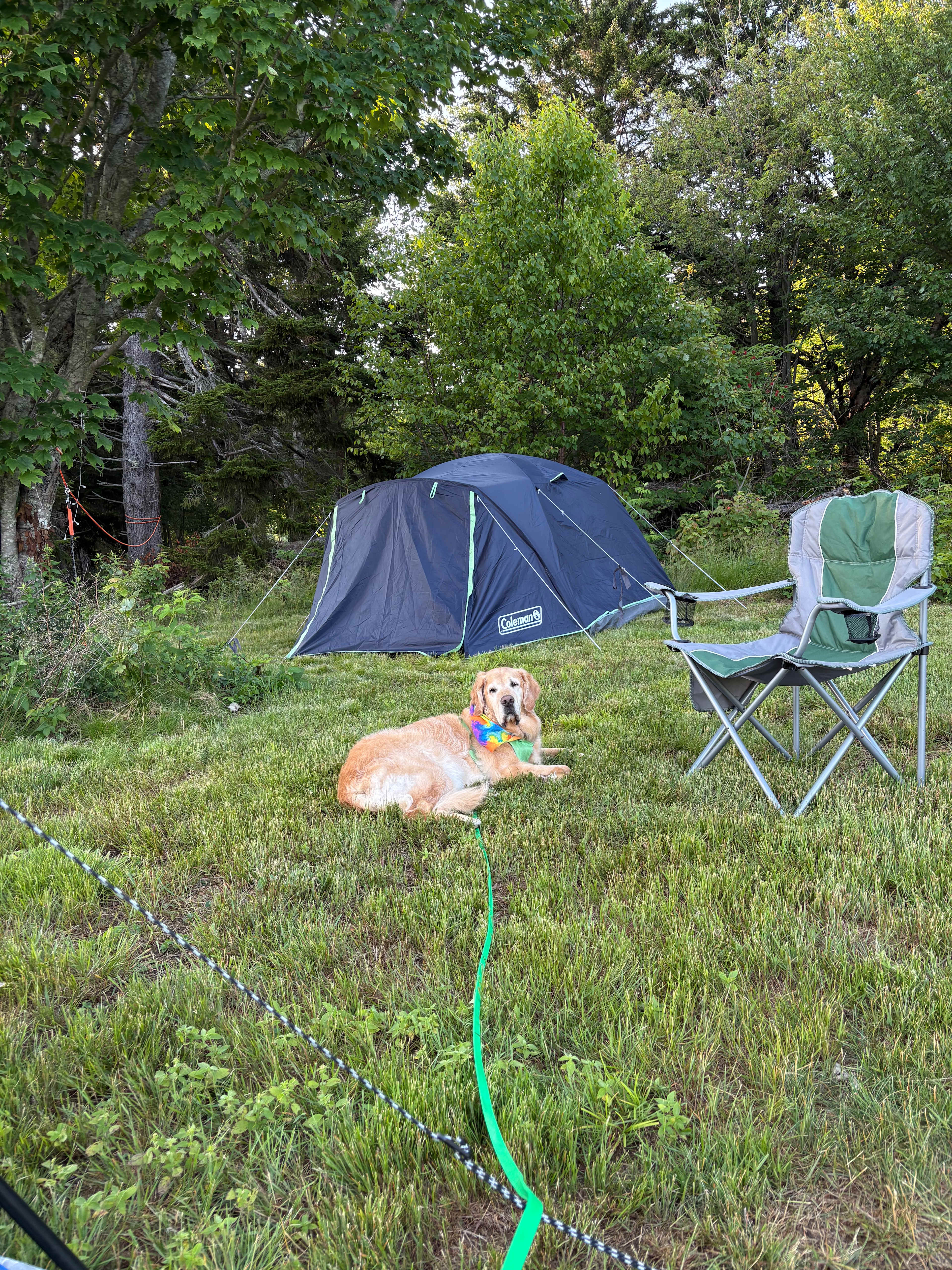 Fraserville Off-Grid Camping
