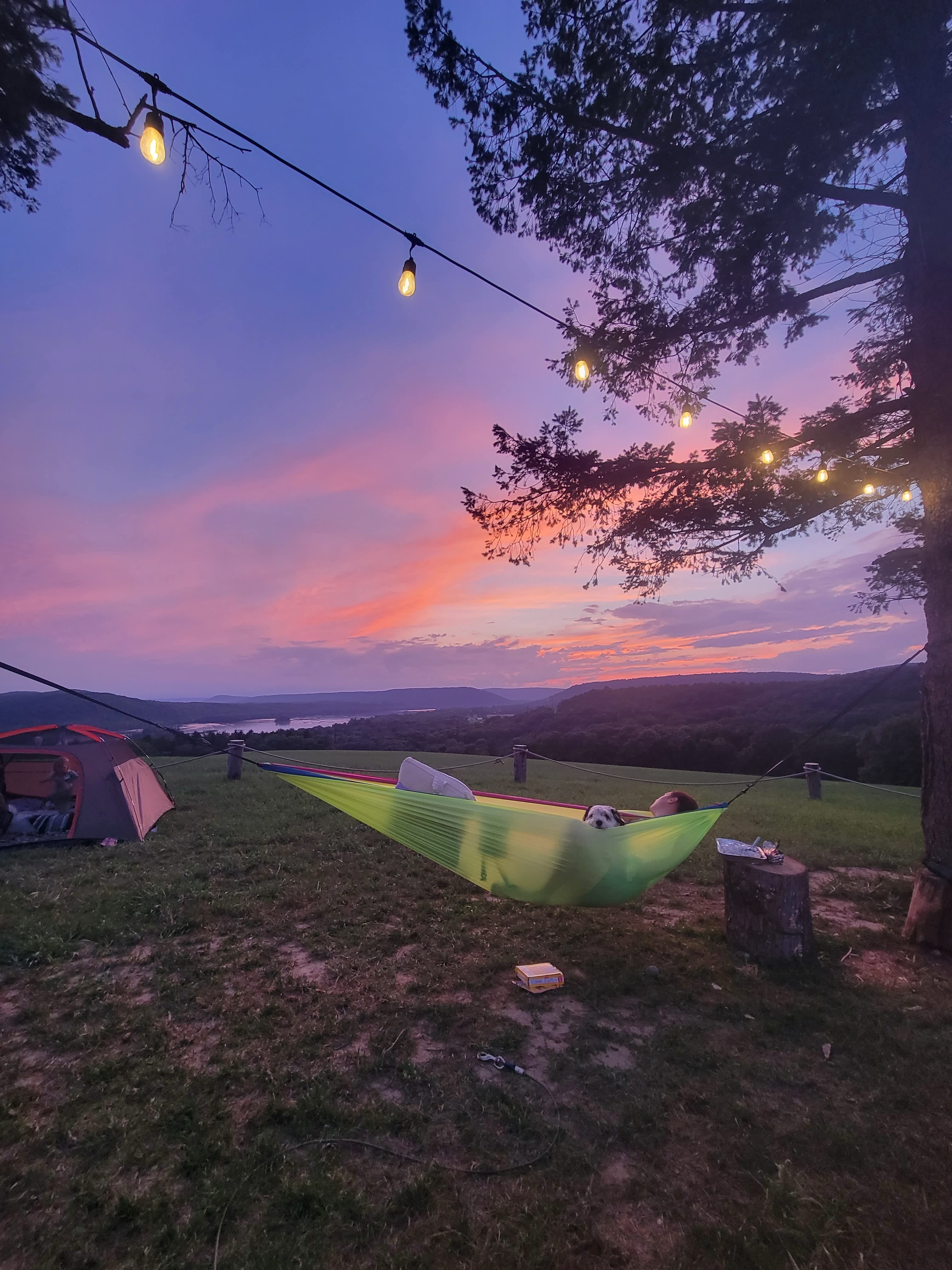 White Squirrel Campsite Poperties