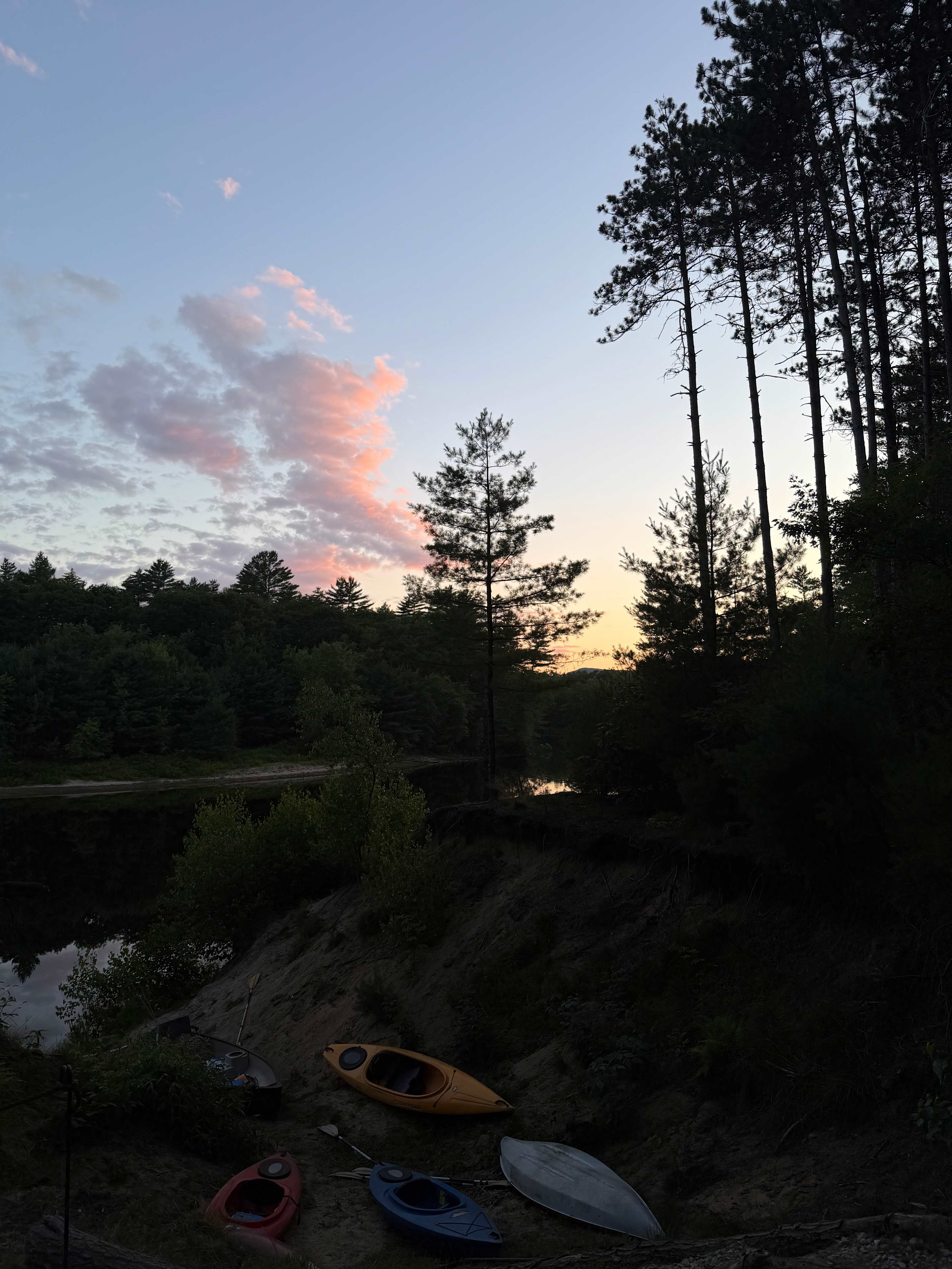 Eagle View Pines