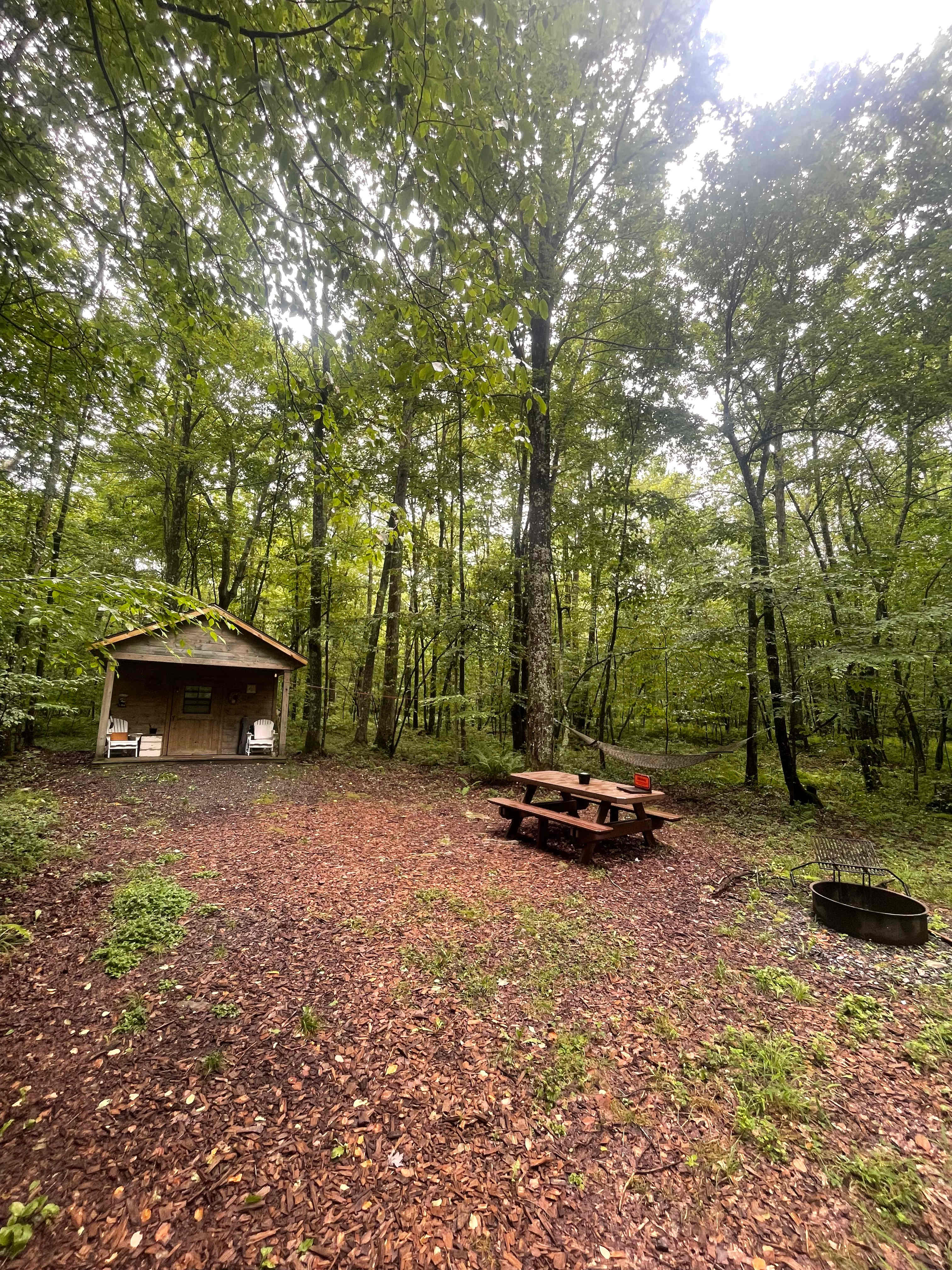 Wild Yough Glamping Huts