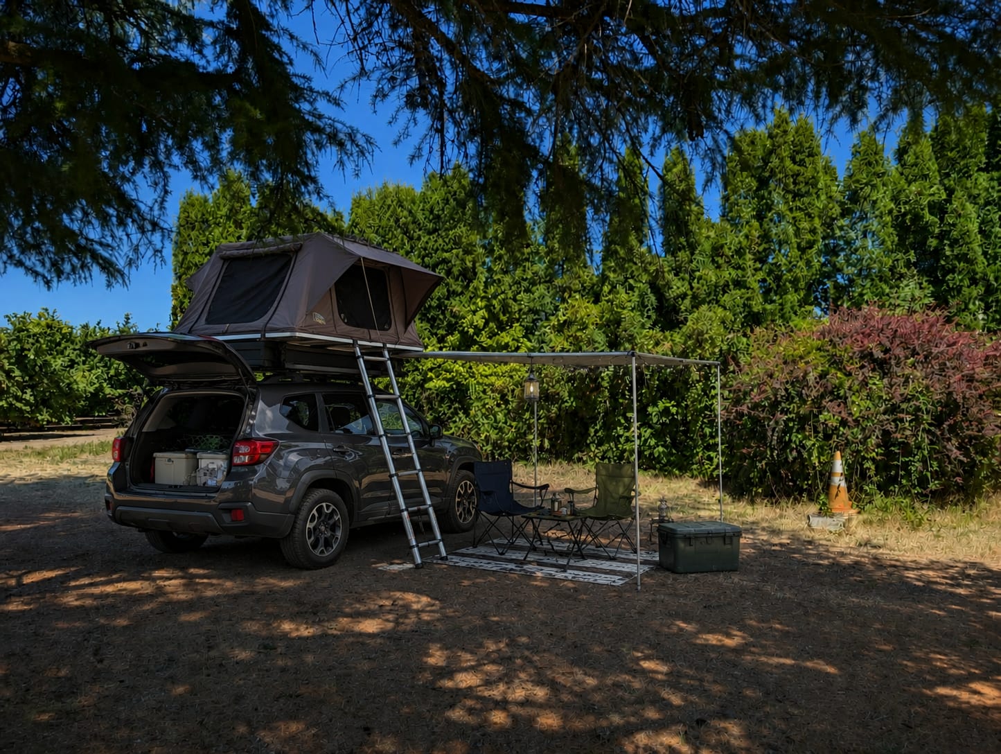 Picture of the site
