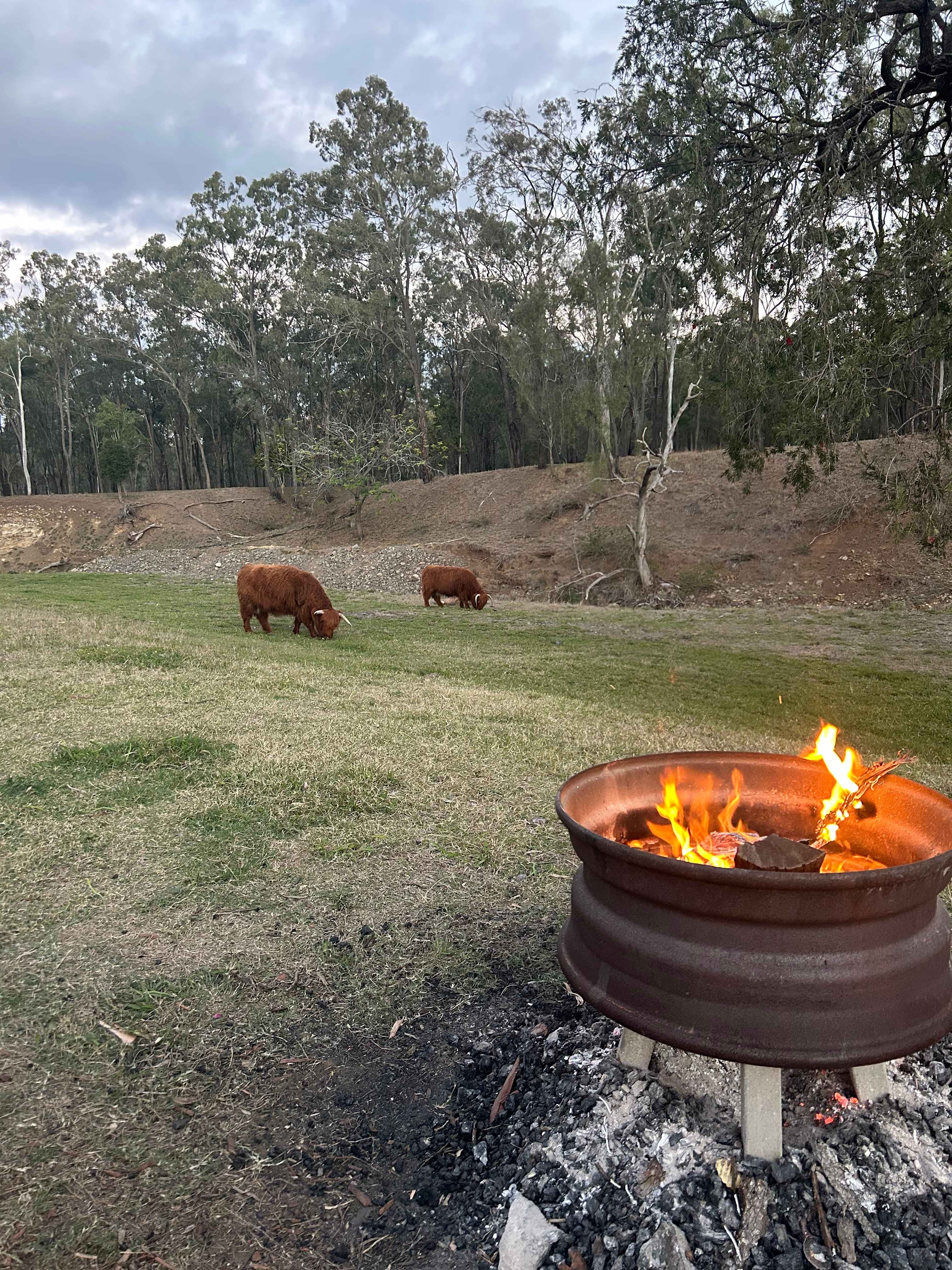 Rocky Creek Homestead