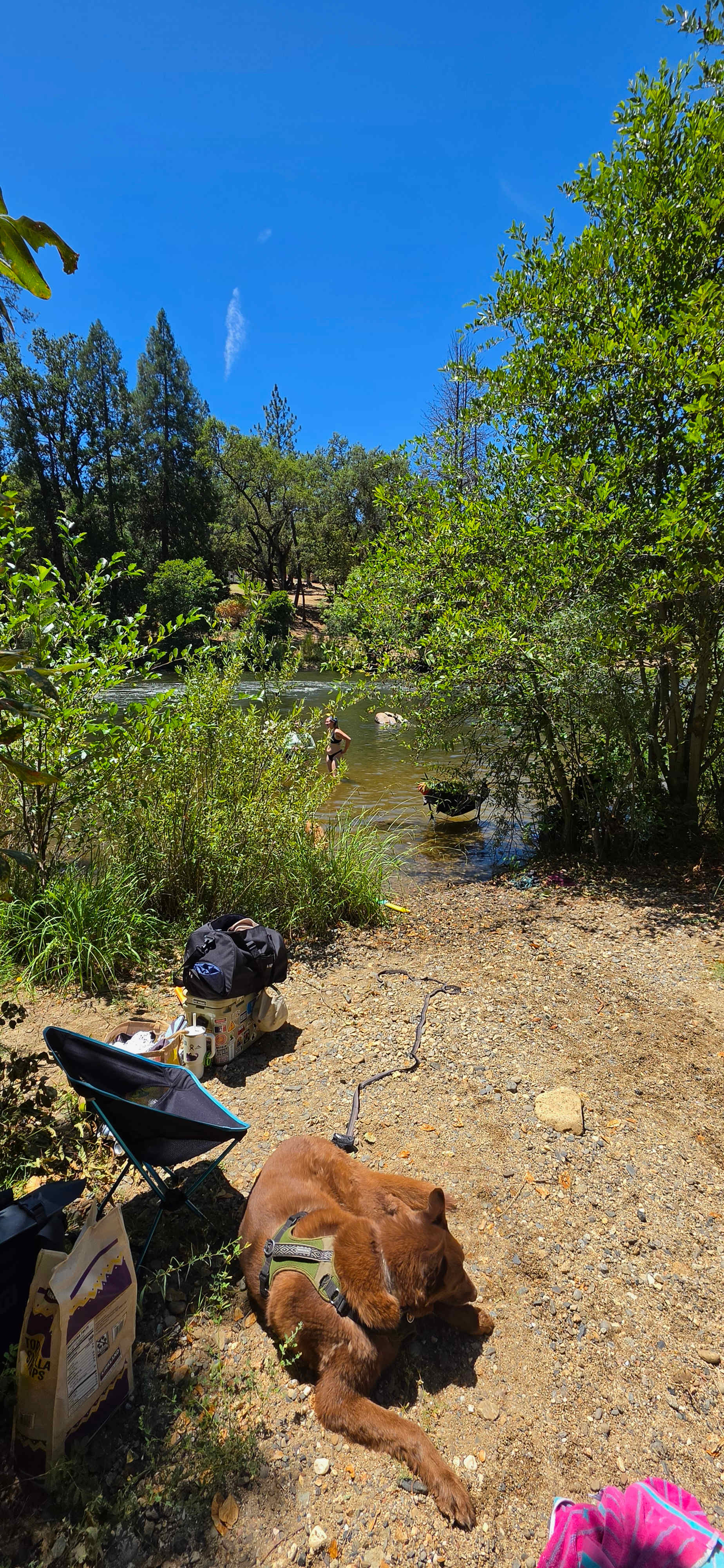 Manzanita Camping & Co