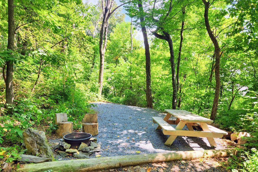 Picture of the site