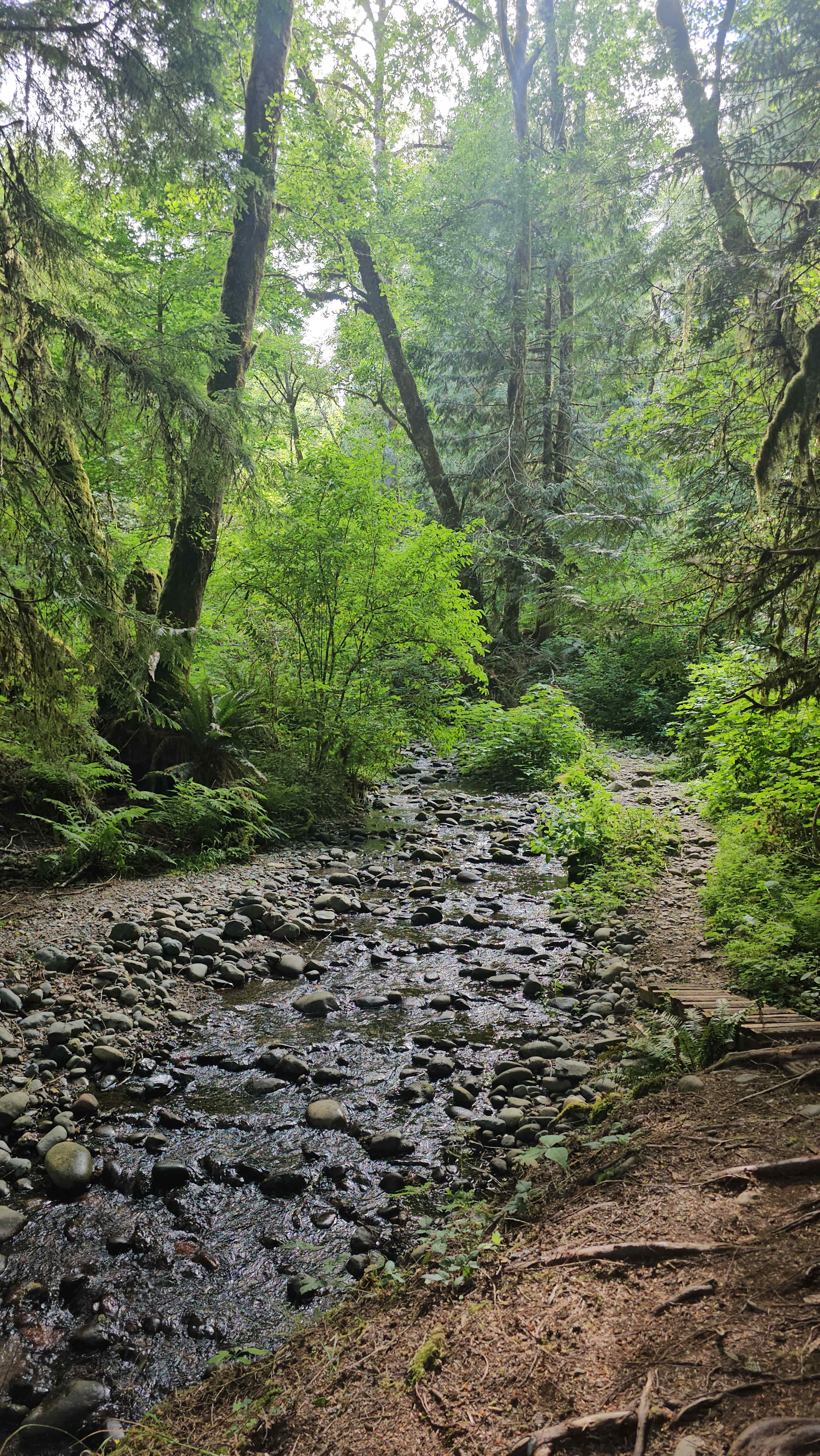The Glen - Olympic Peninsula RV