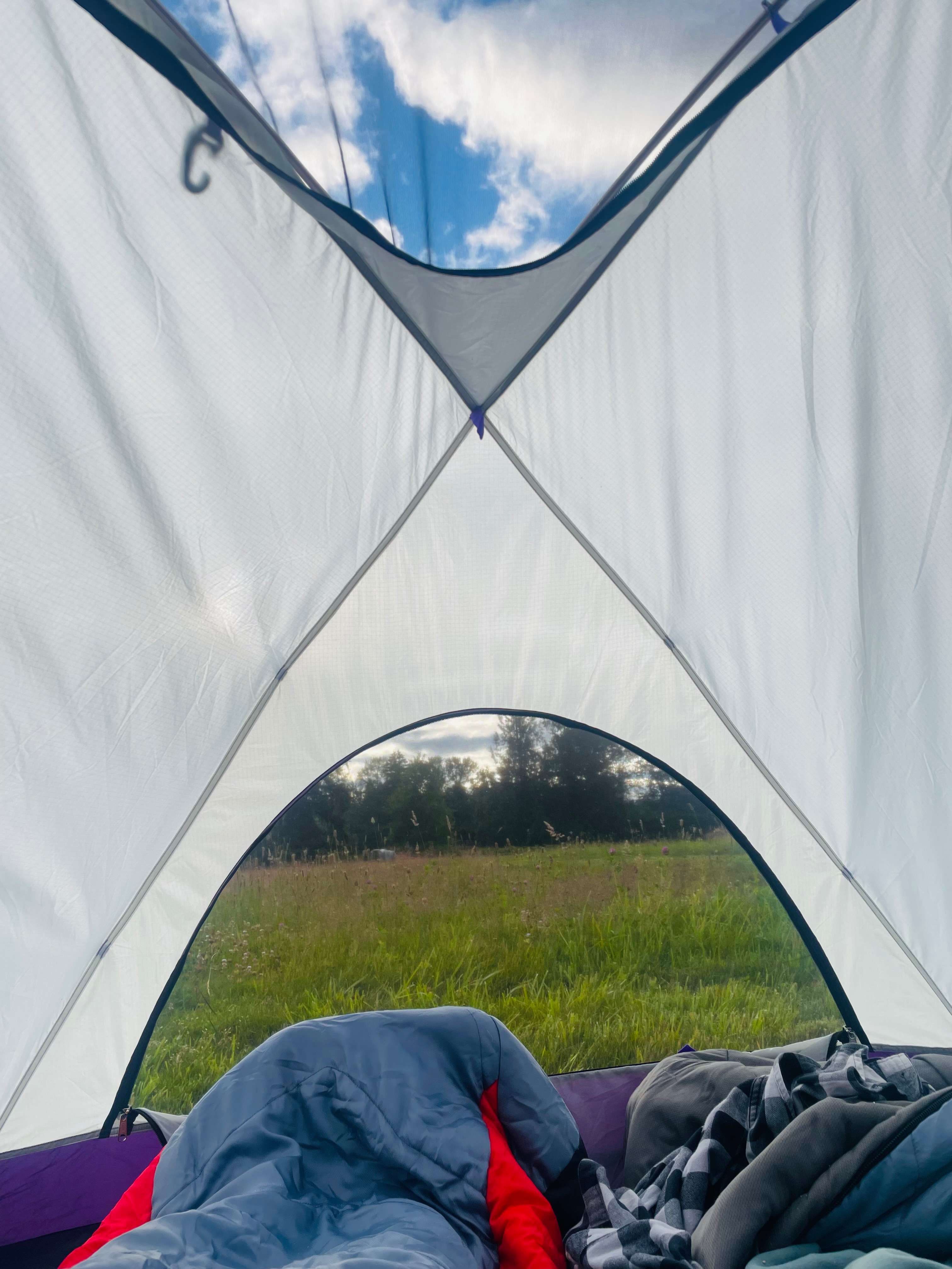 Quietest campground wakeup ever...