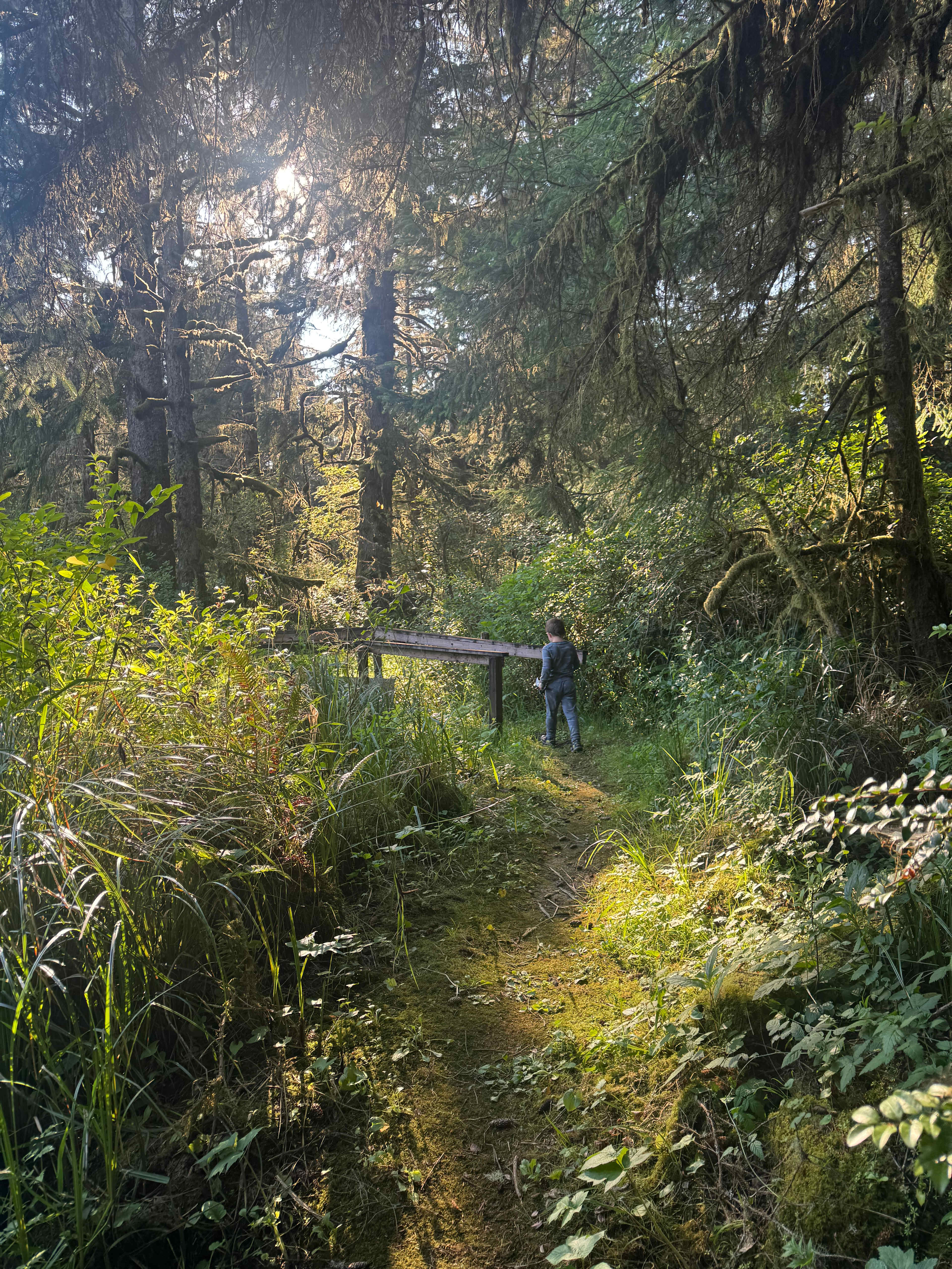 Williams Park campground