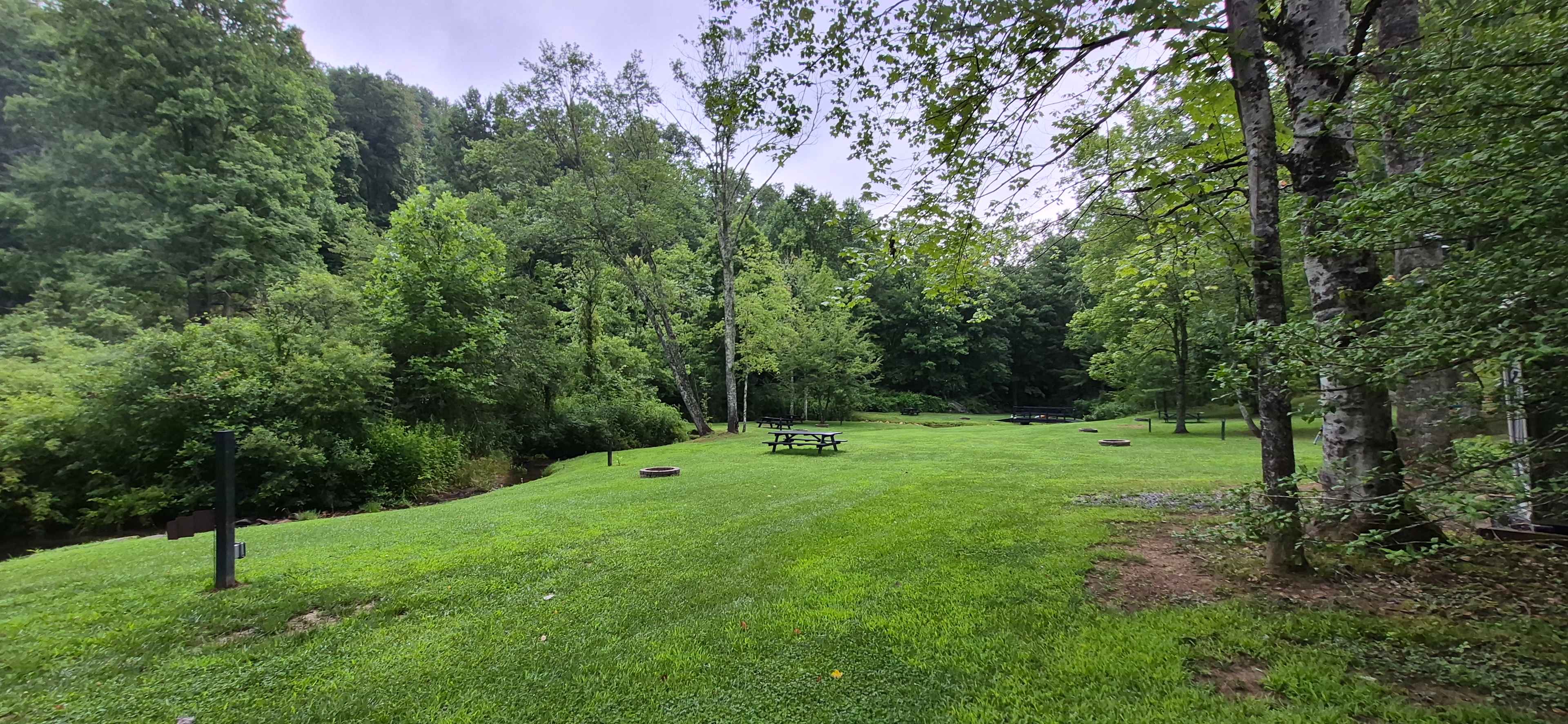 Such a great camping area, lots of space to spread out!