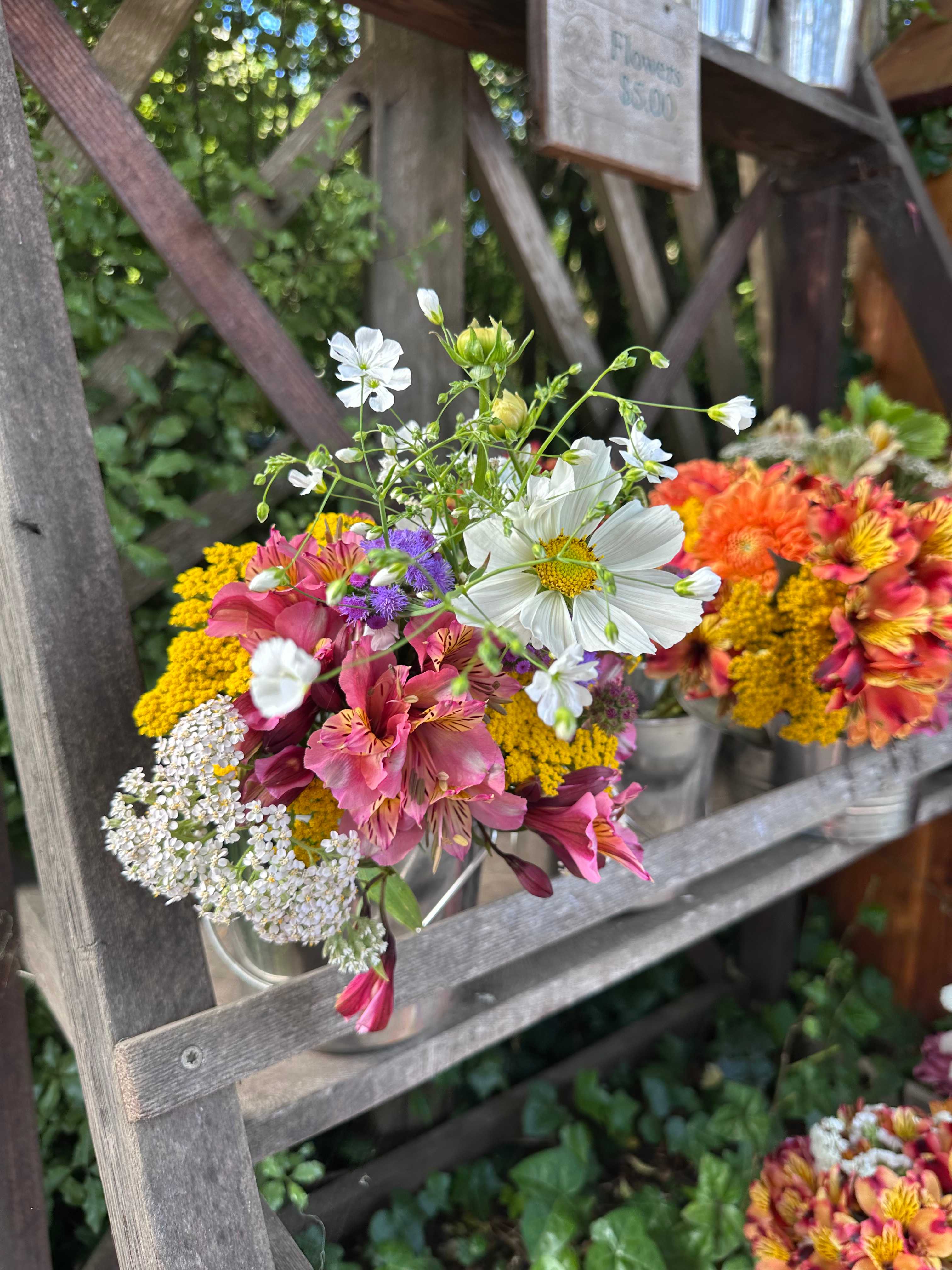 Good Things Farm Yurt, flower farm