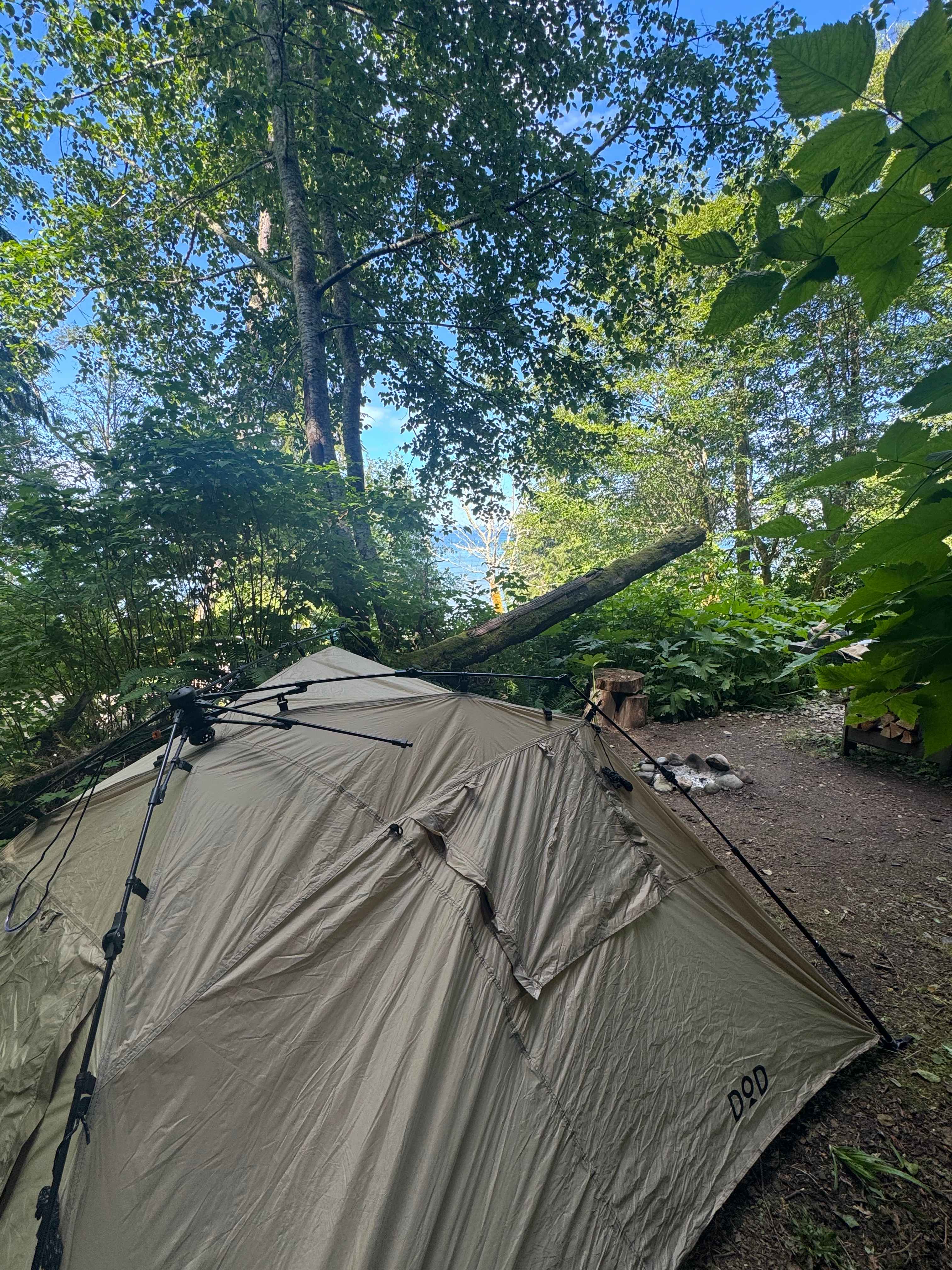 Picture of the site