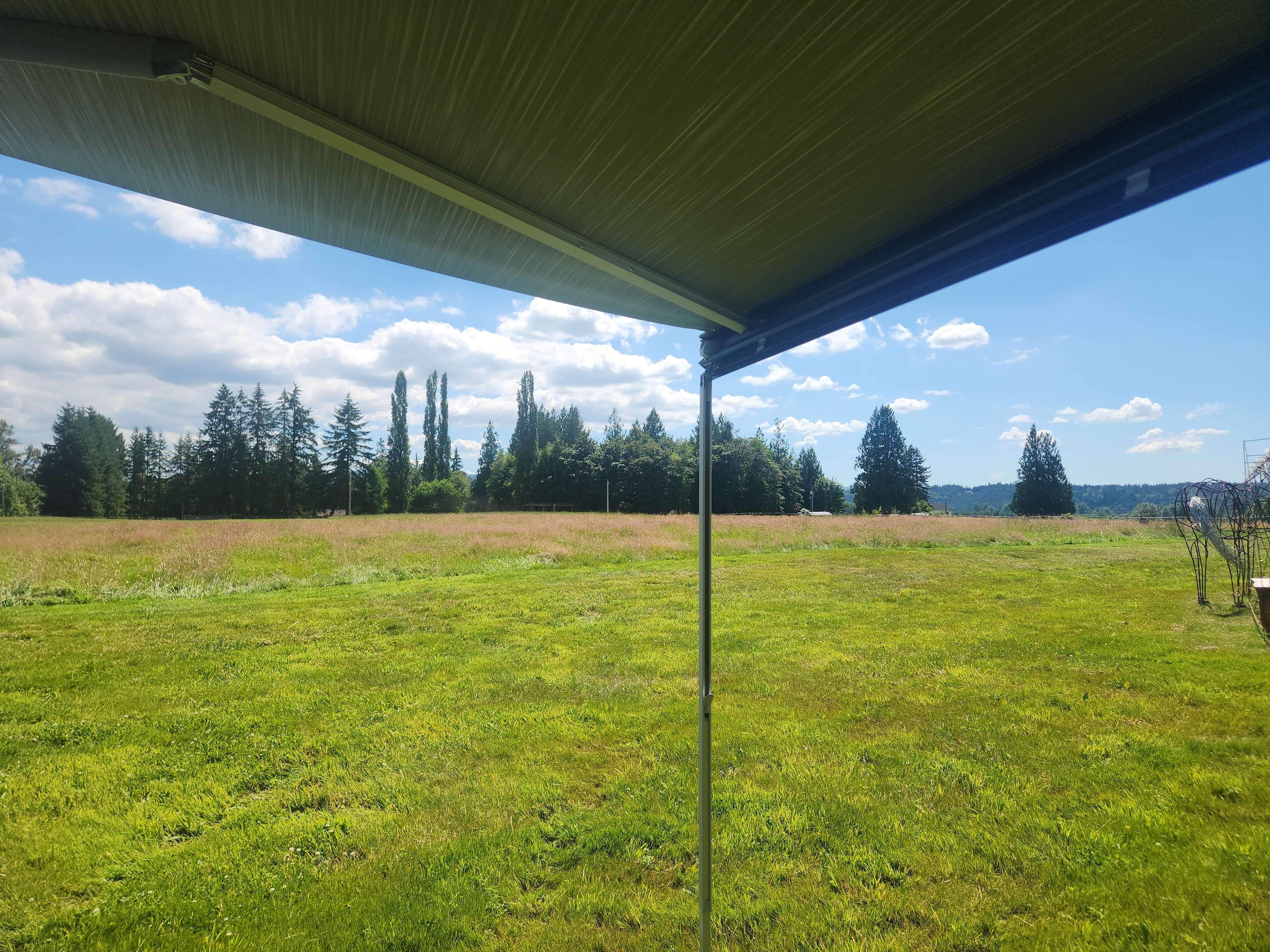 Our view of the pasture