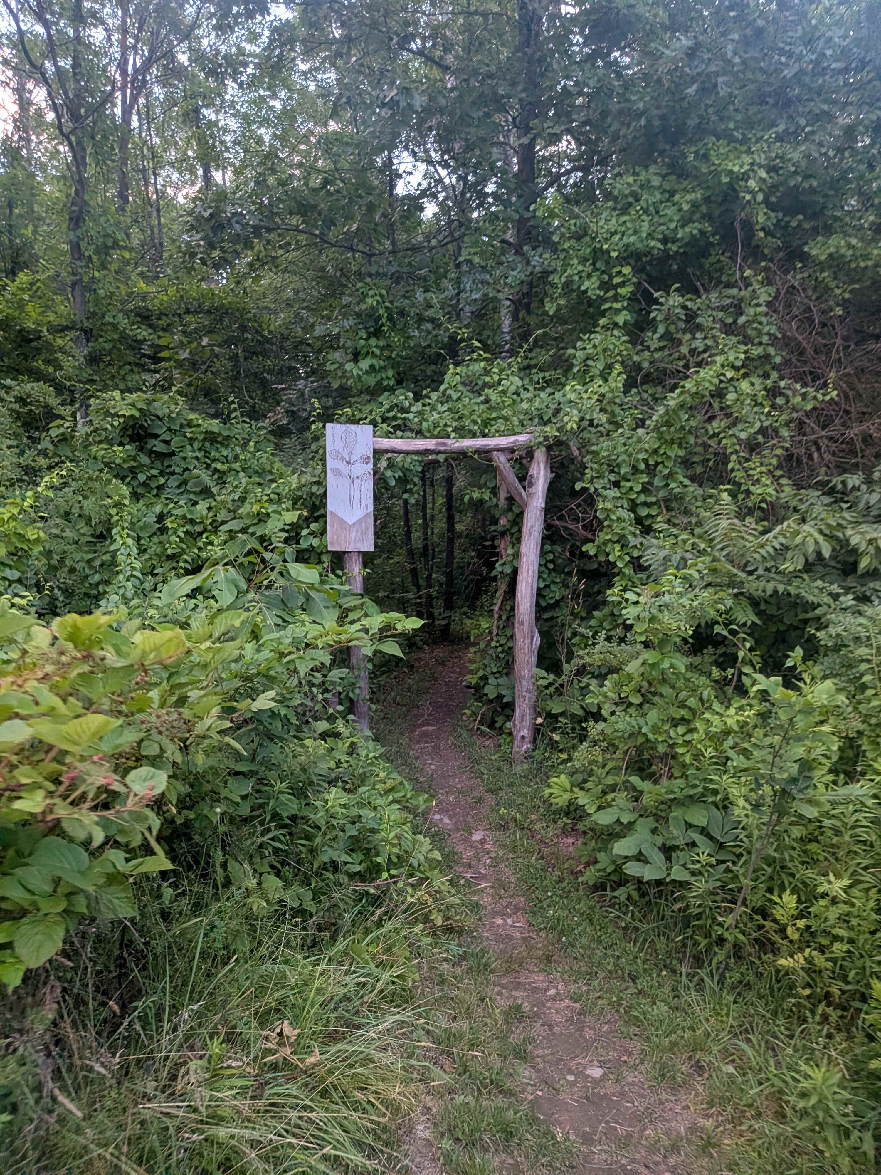 Hickory Hollow