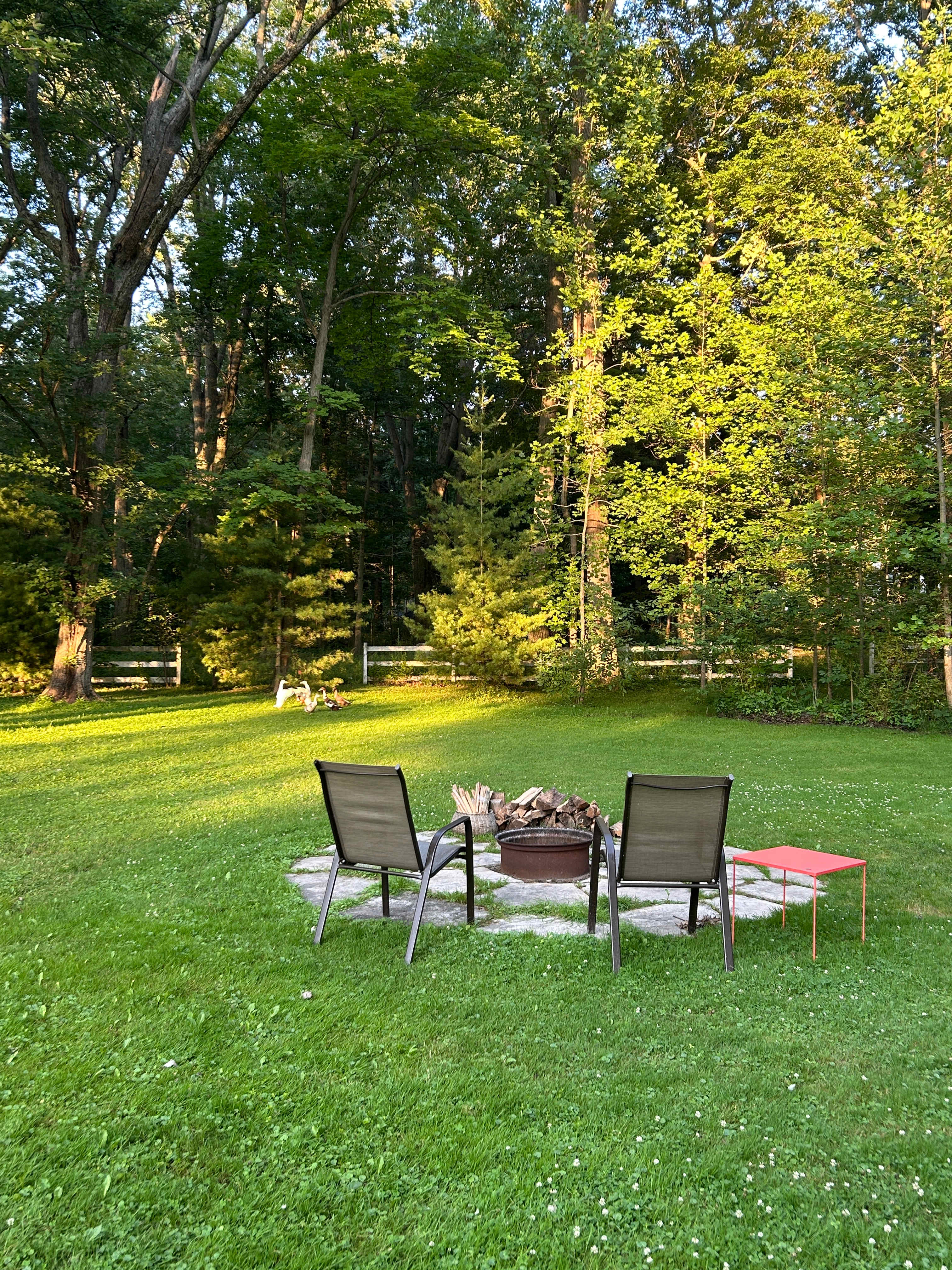 Cabin close to Lake Erie and trails