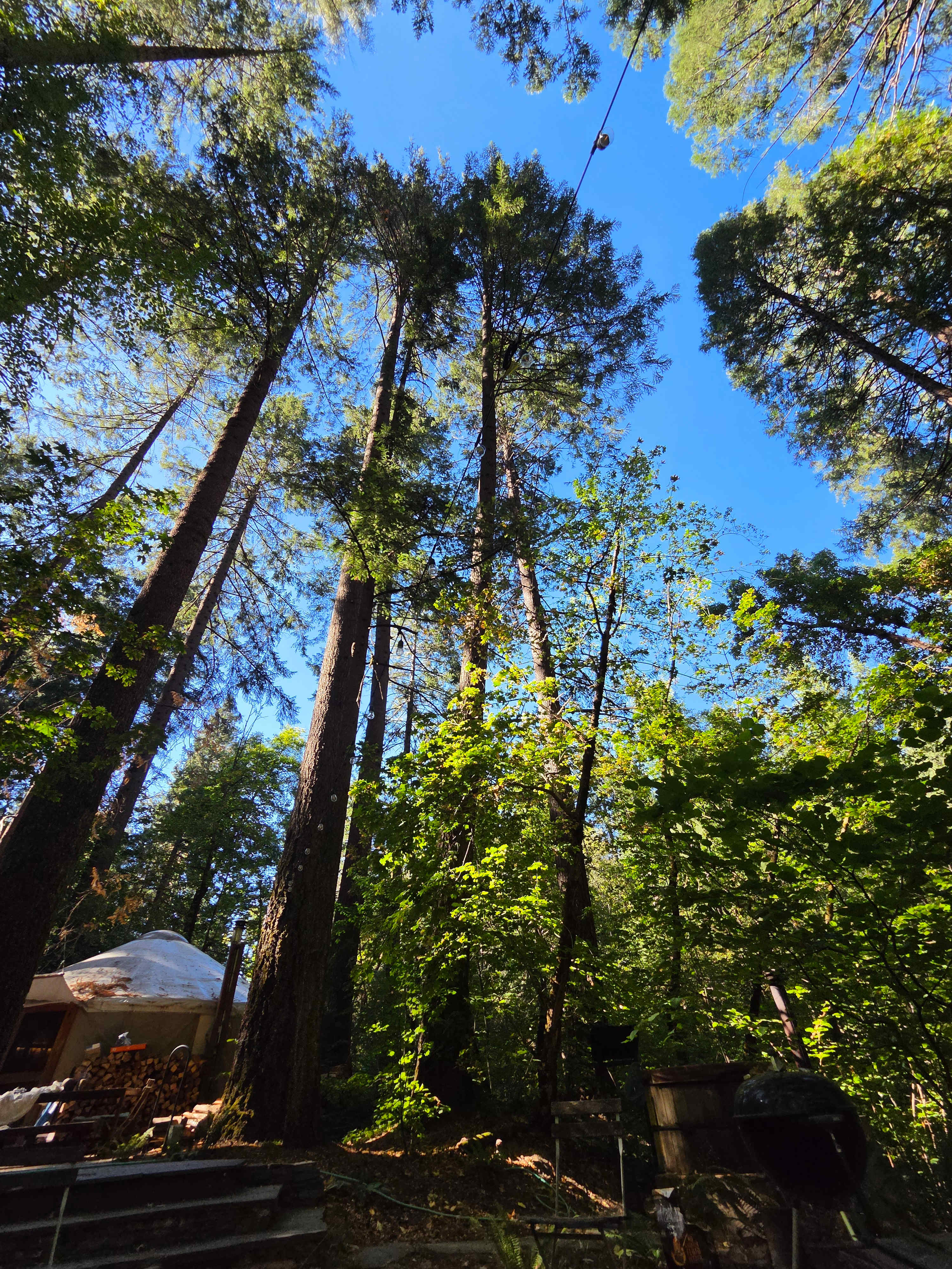 Private Yurts - Nevada City