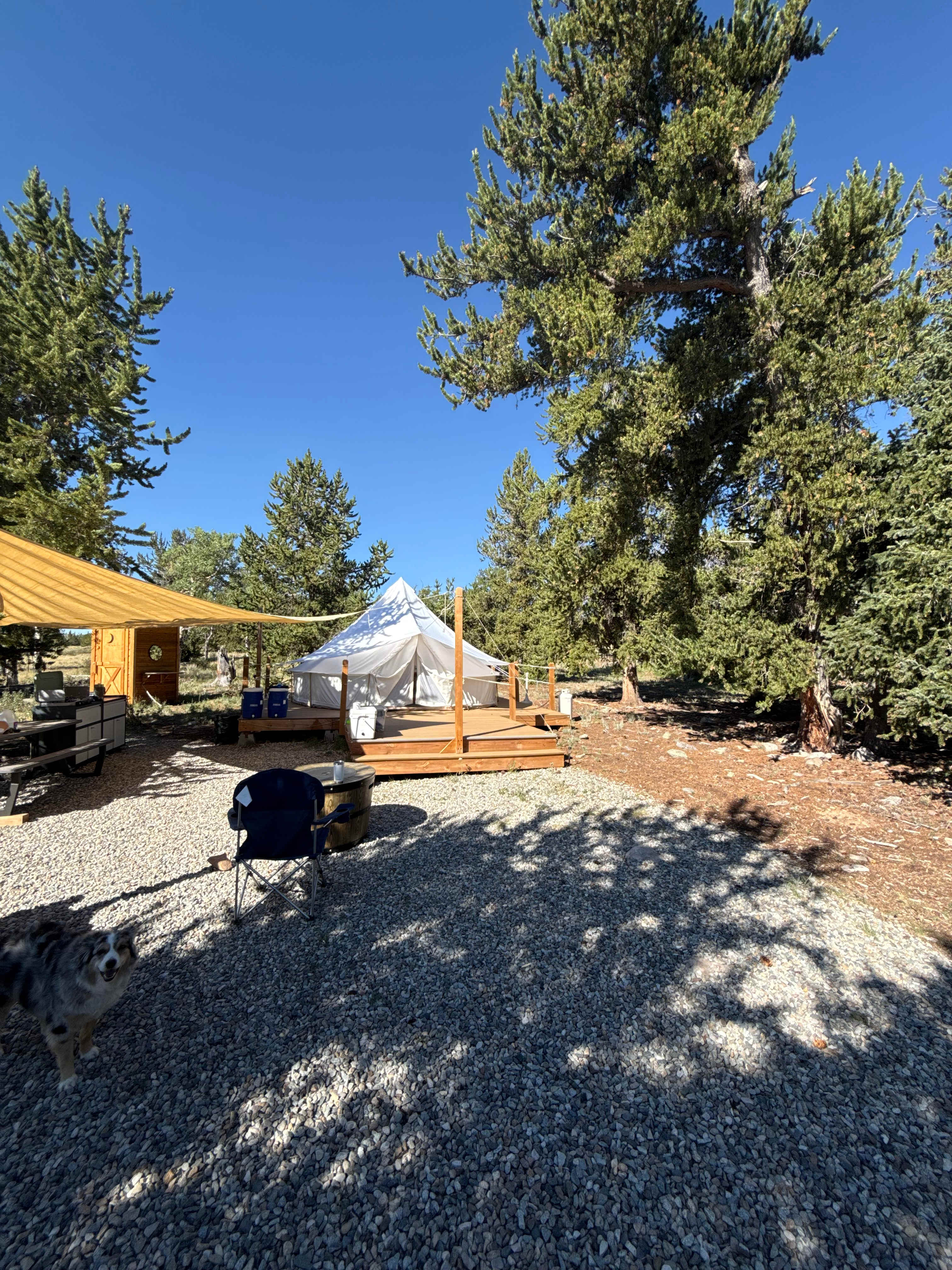 Whispering Pines Glamping