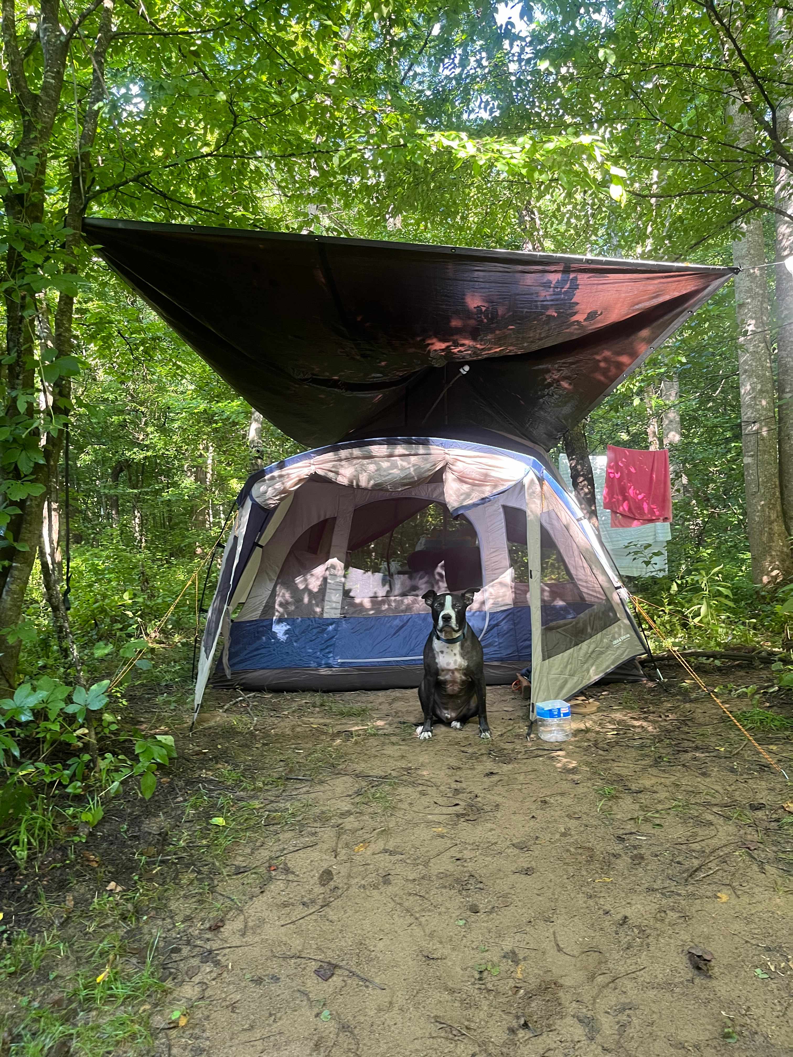 Rocky Creek campsite