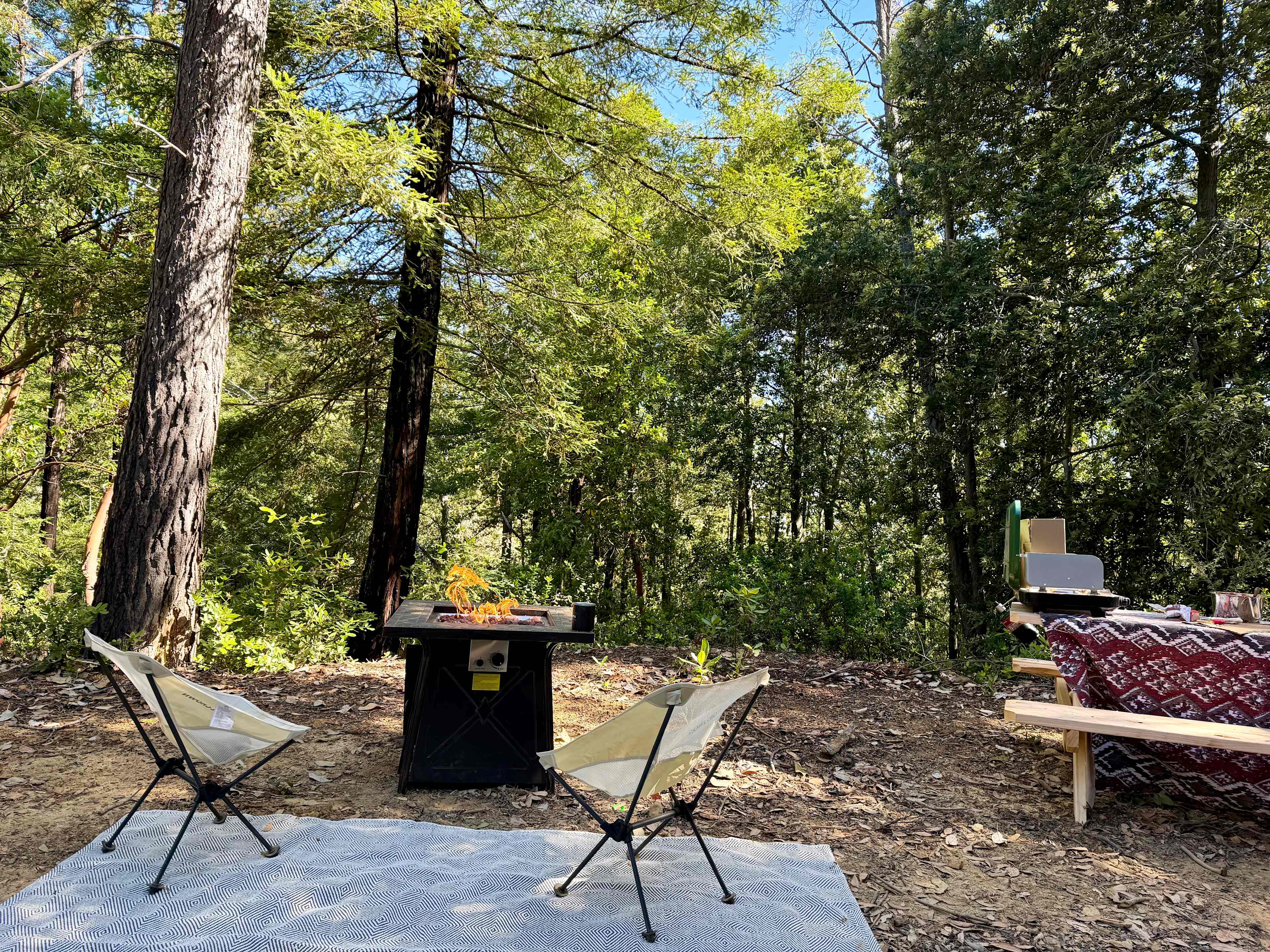 Picture of the site