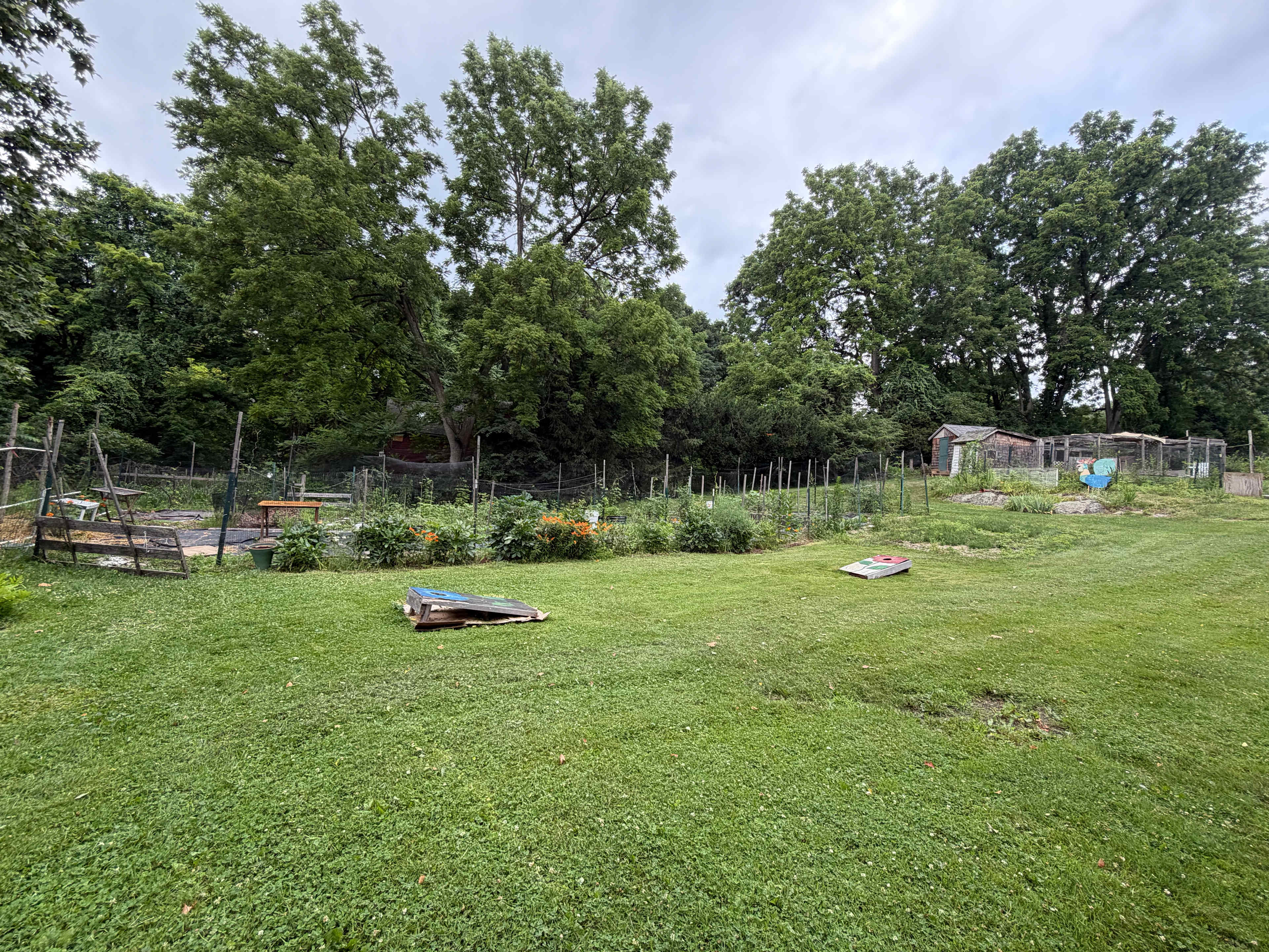 View from front of Shed looking up toward farmhouse, coops and vegetable gardens