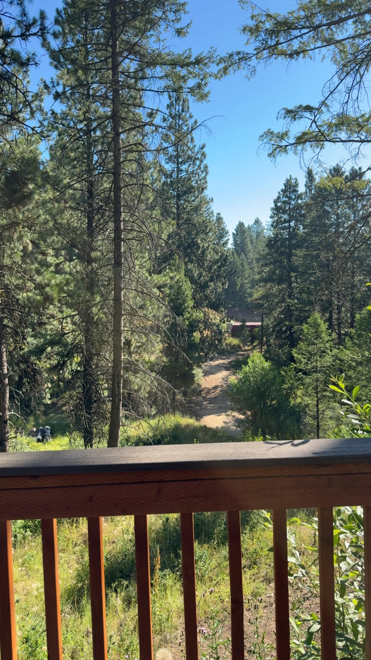 View out the front door. 