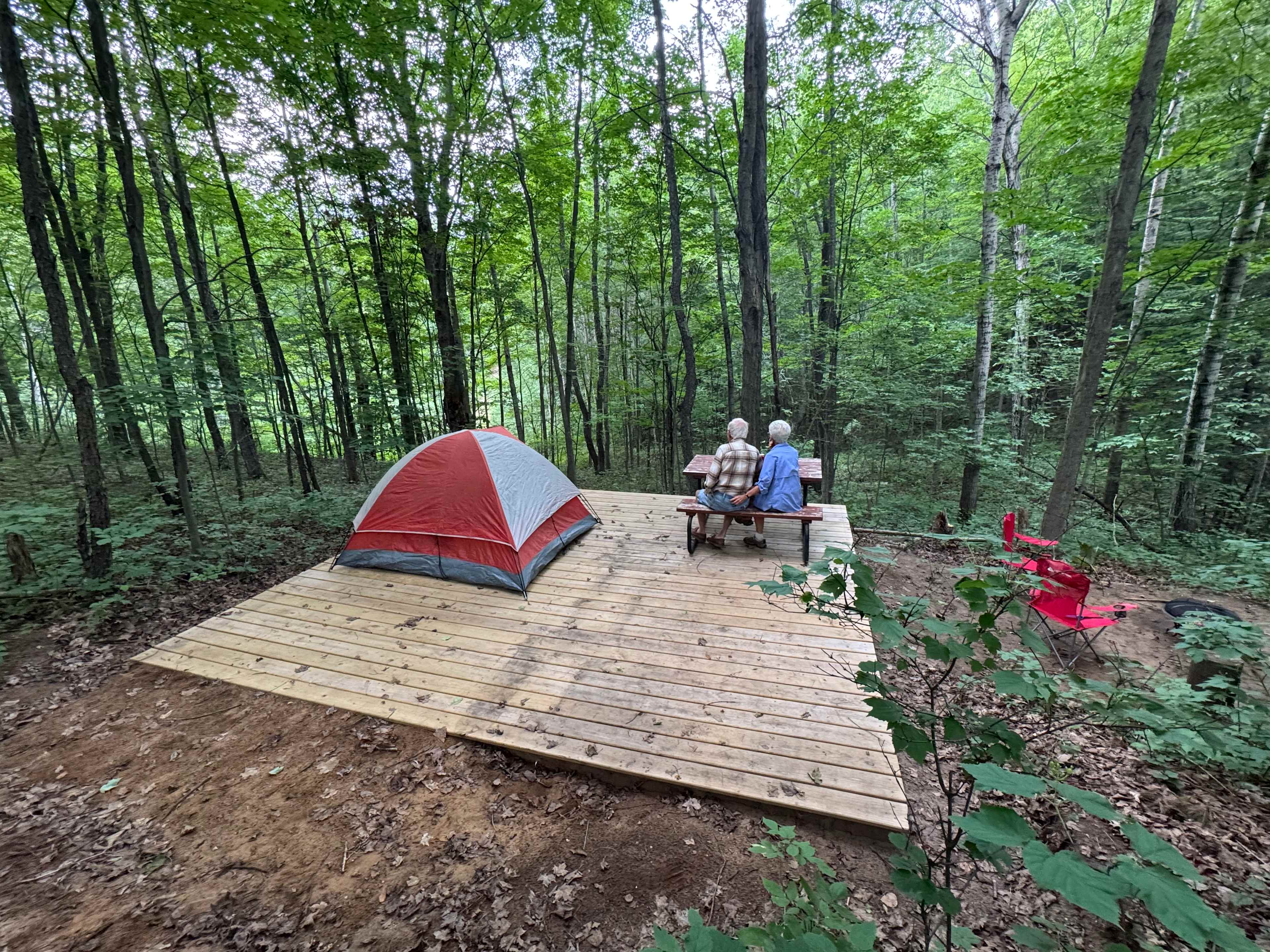 Picture of the site