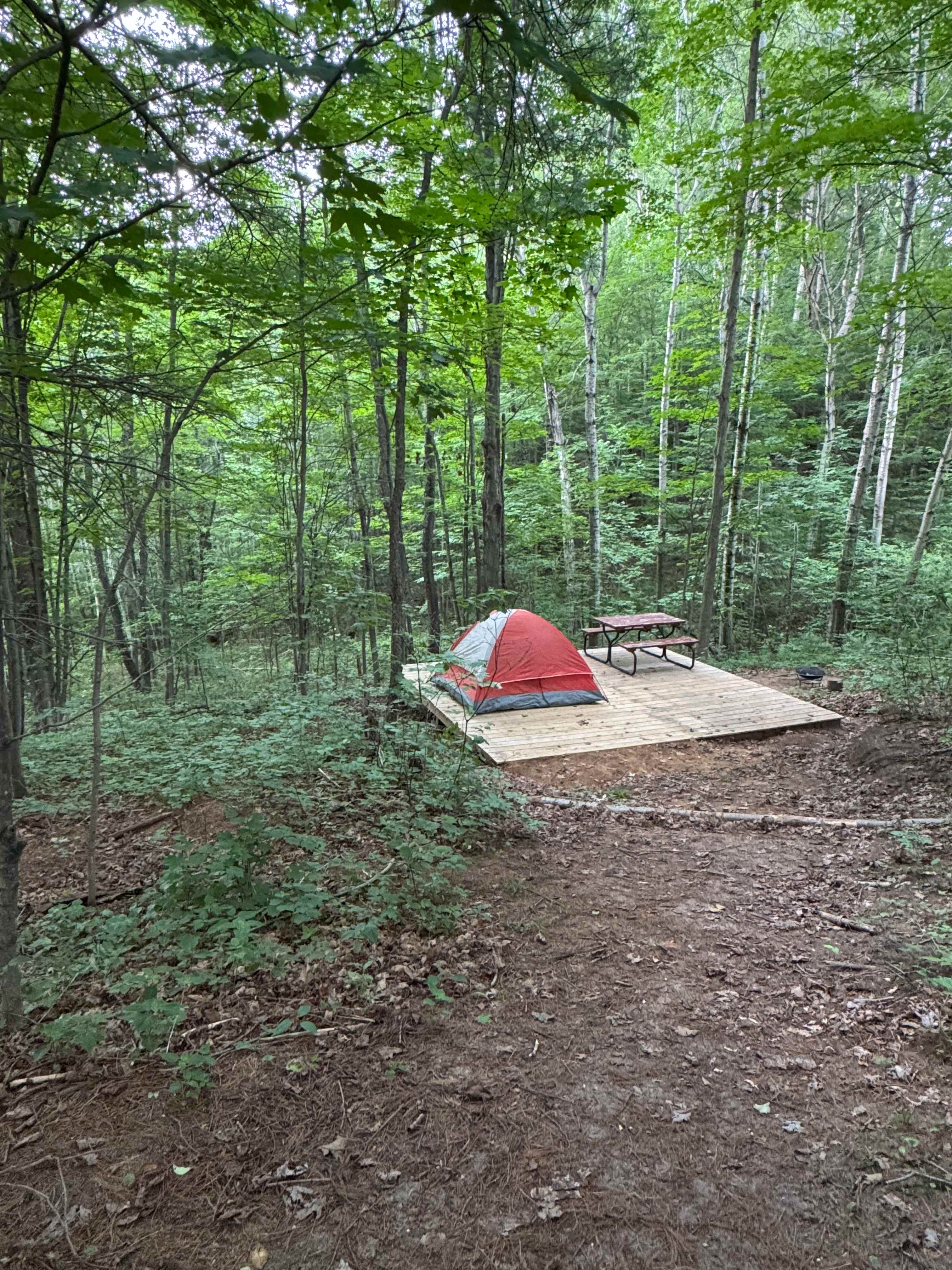 Picture of the site