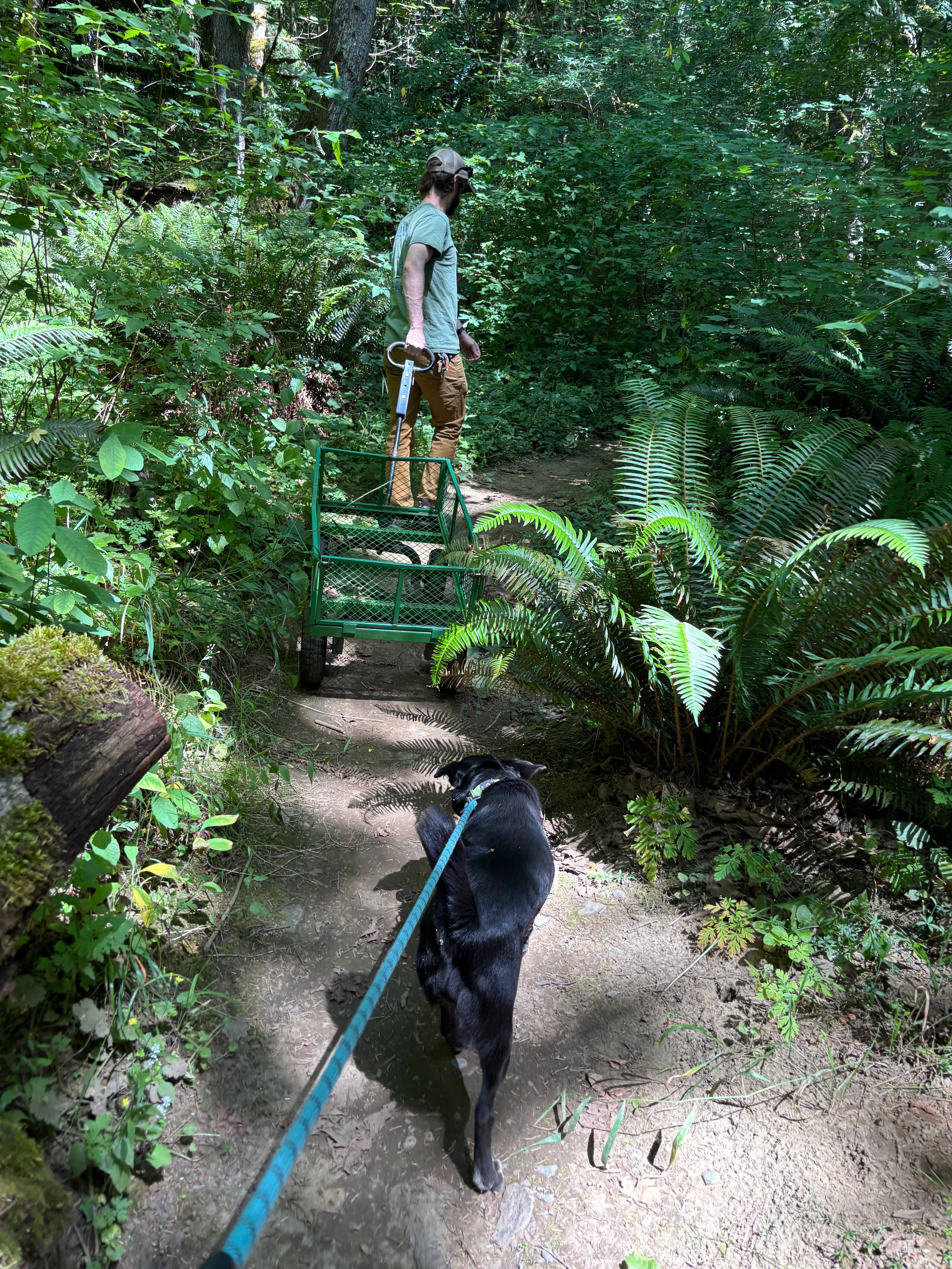Using the provided cart to bring things to site 4 