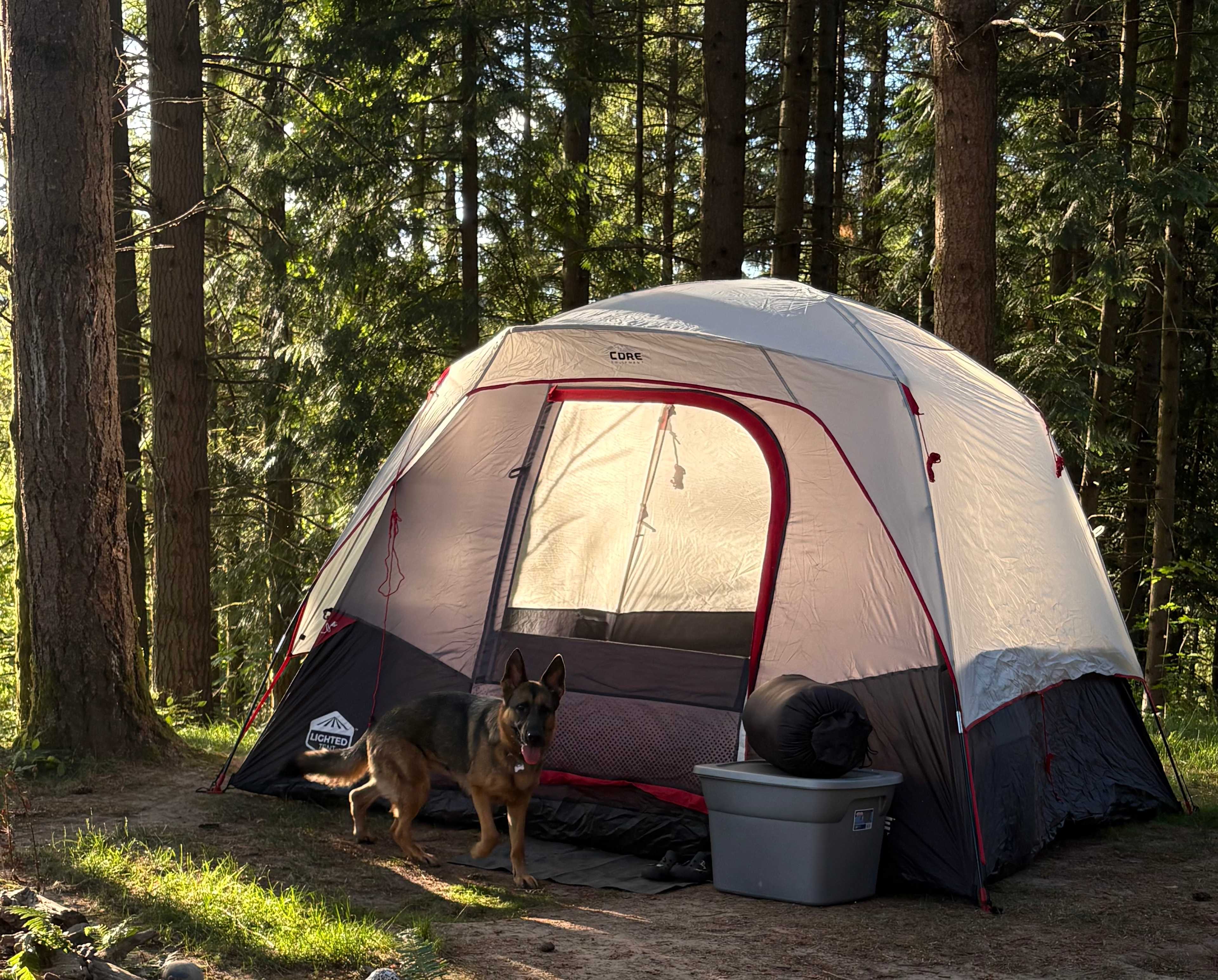 Akitaaru Forest Camp
