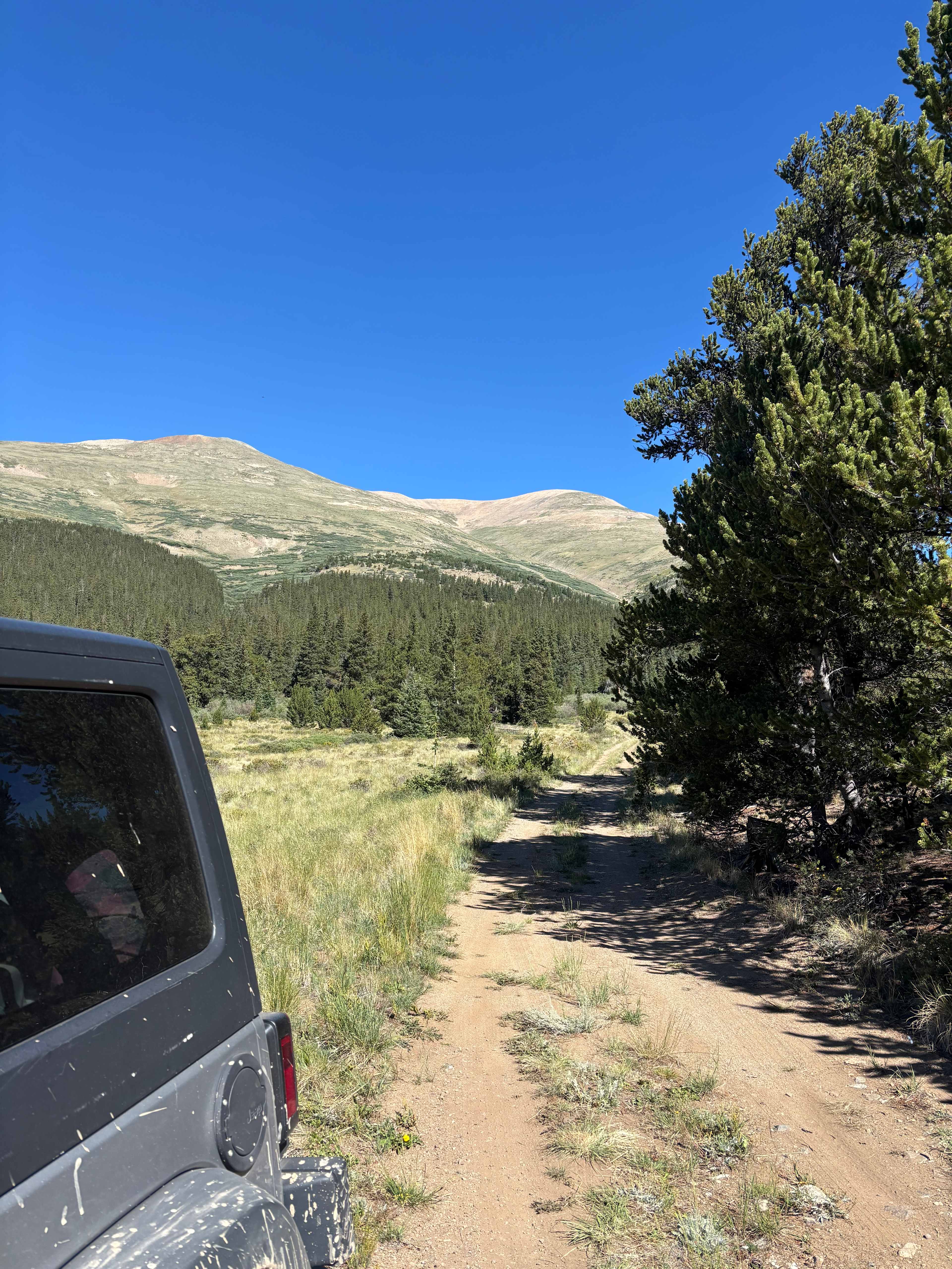 Mountain Meadow Glamp Camp