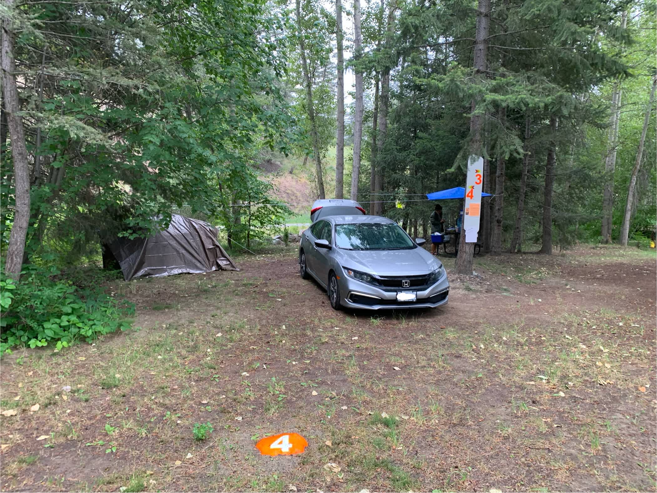 Picture of the site